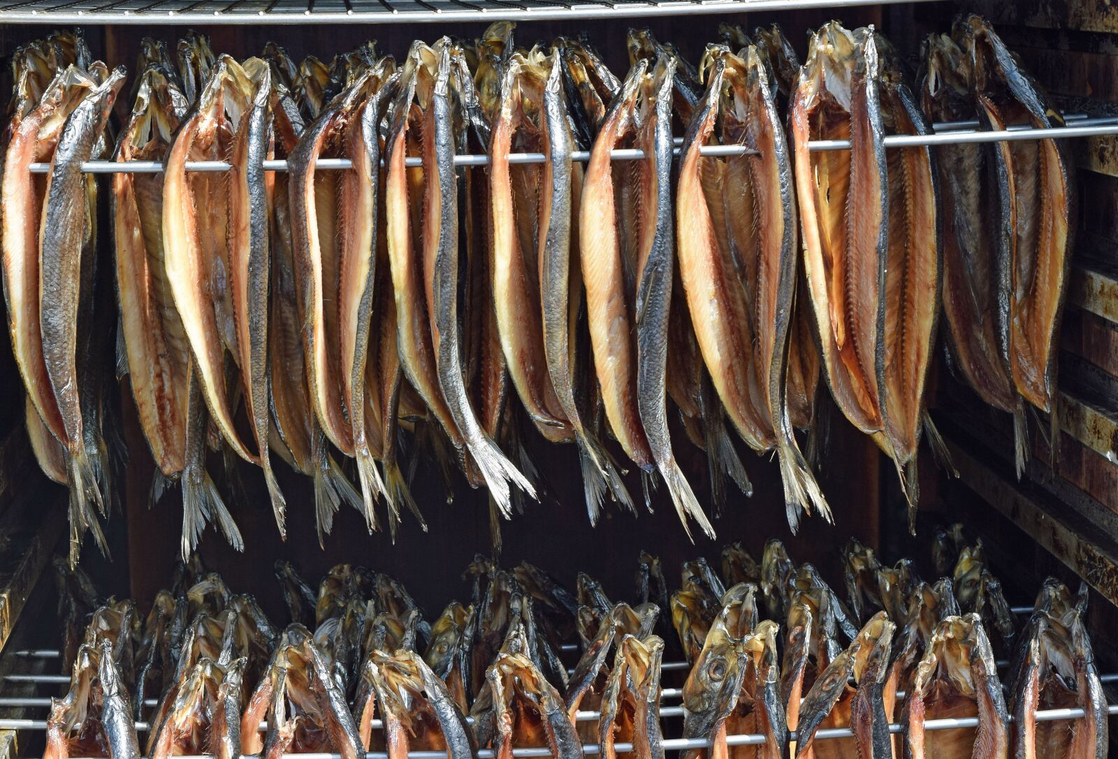 Nikon D3300 sample photo. Kippers, herring, smoked photography