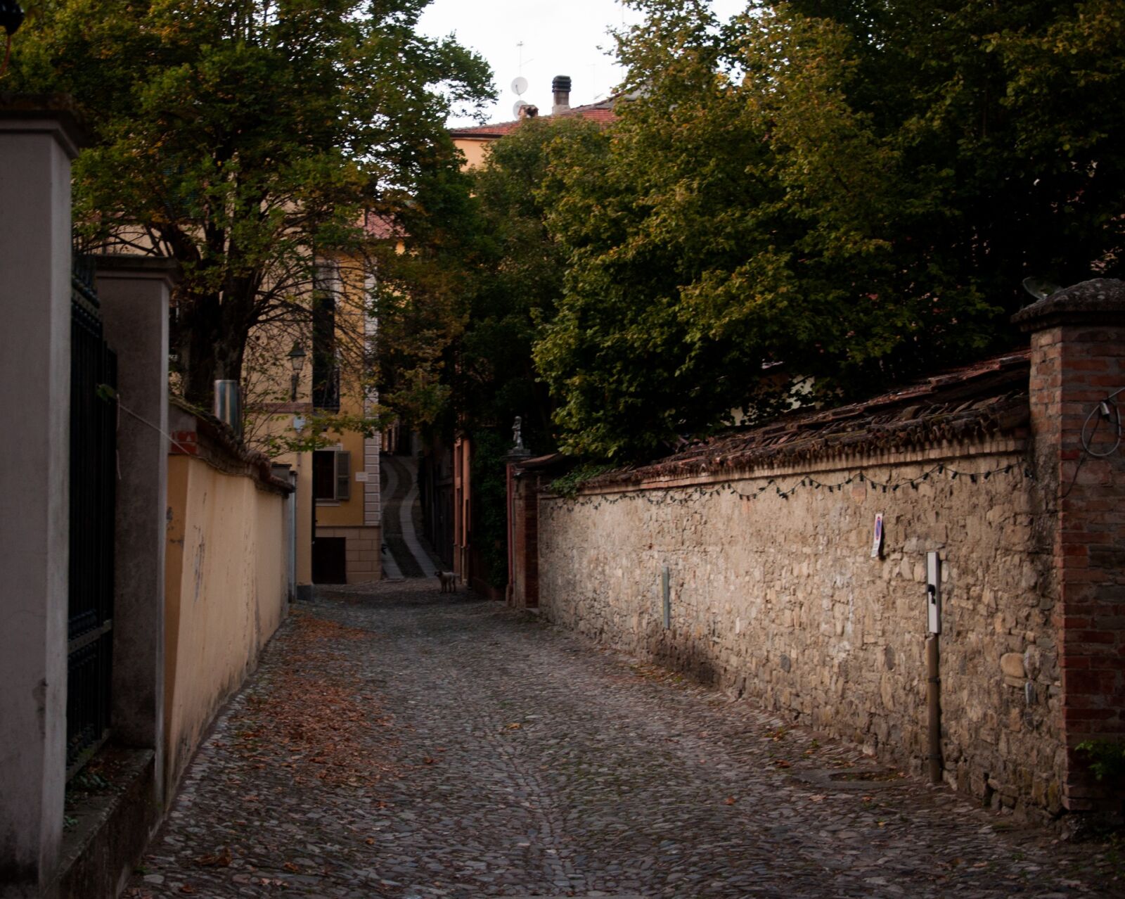 Nikon D90 sample photo. San sebastiano curone, the photography