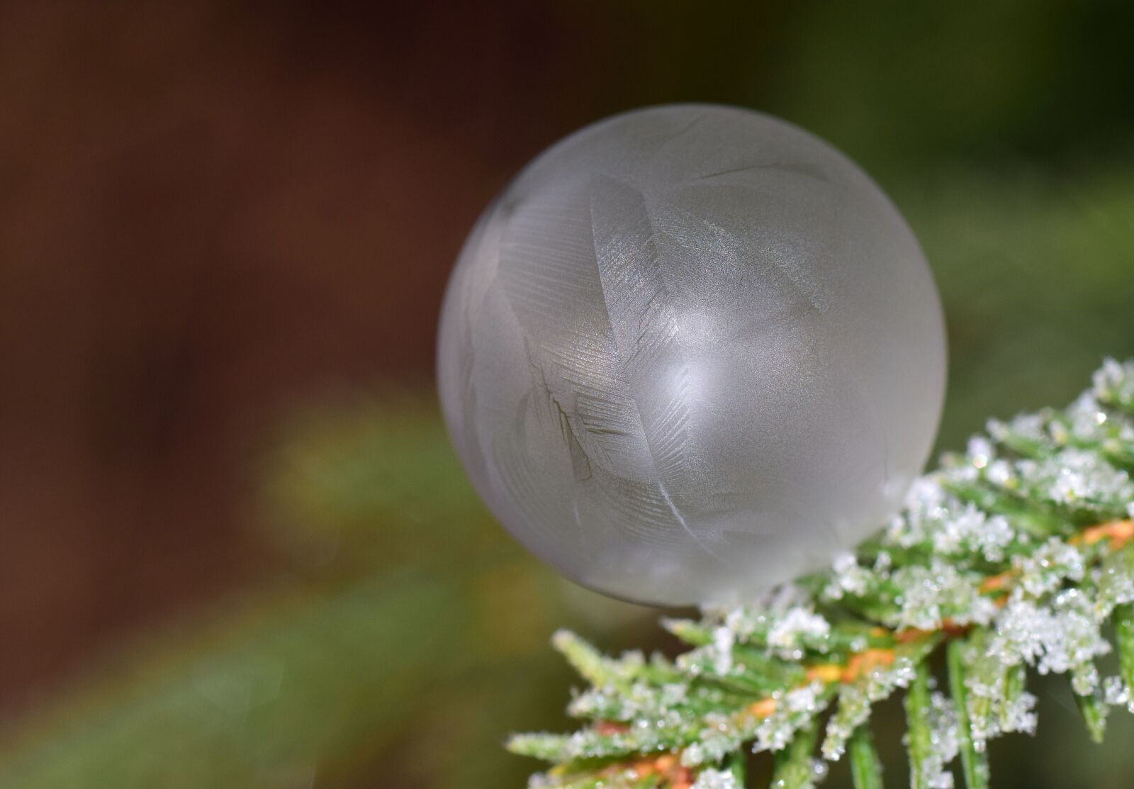 Nikon D3300 sample photo. Bubble, soap bubble, frozen photography