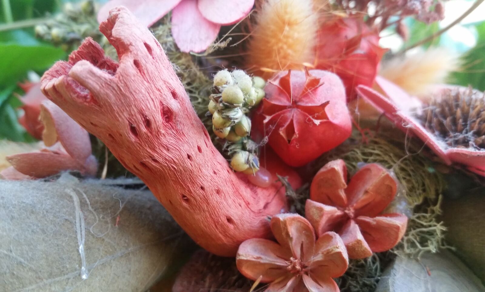 Samsung Galaxy S5 sample photo. Still life, artificial flowers photography
