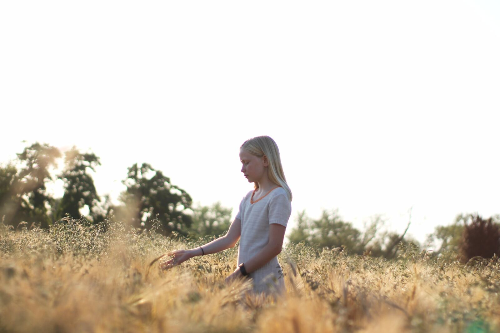 Canon EOS 1100D (EOS Rebel T3 / EOS Kiss X50) sample photo. Girl, field, wheat photography