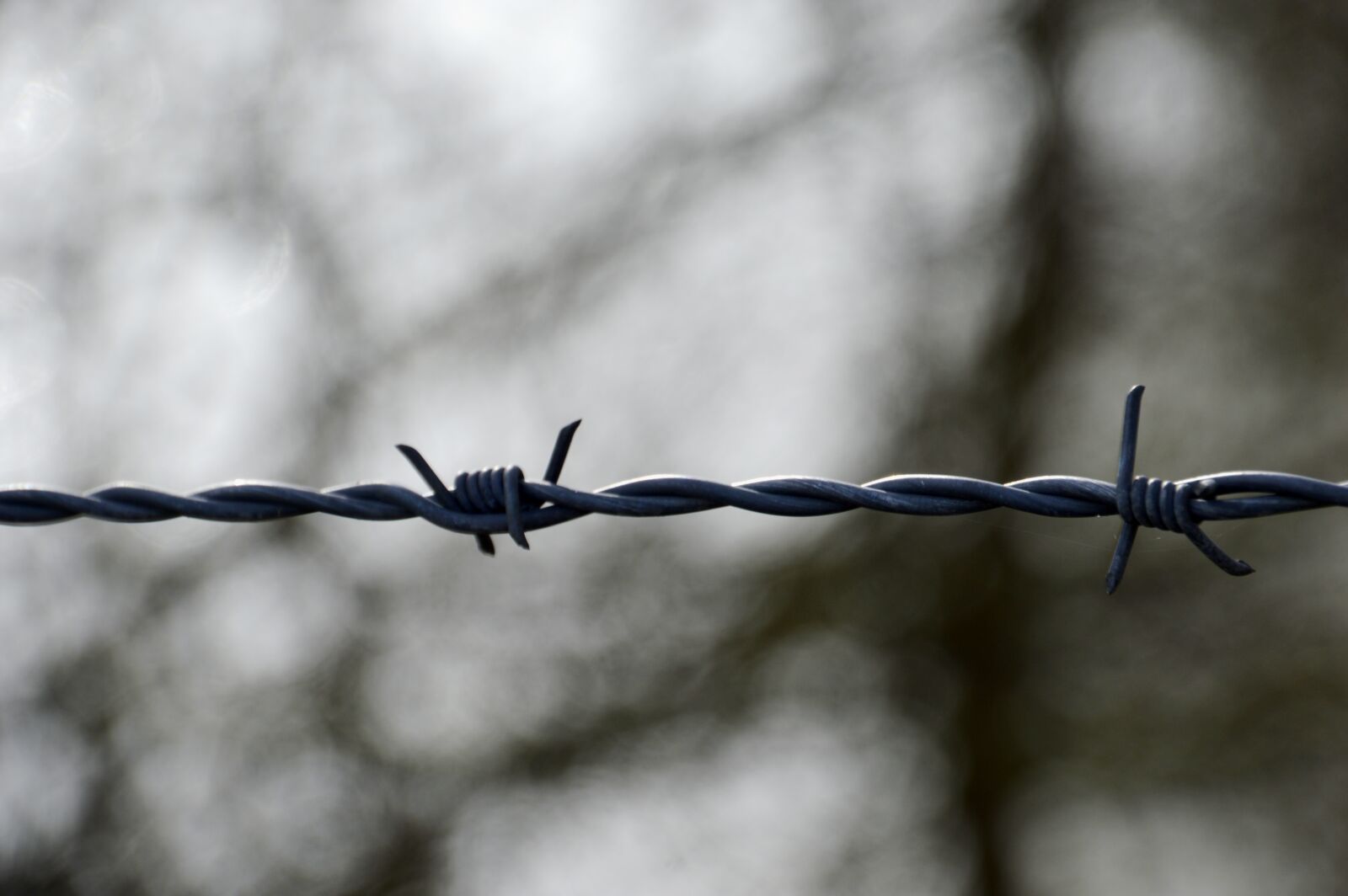 Nikon D3200 sample photo. Barbed wire, closing, security photography