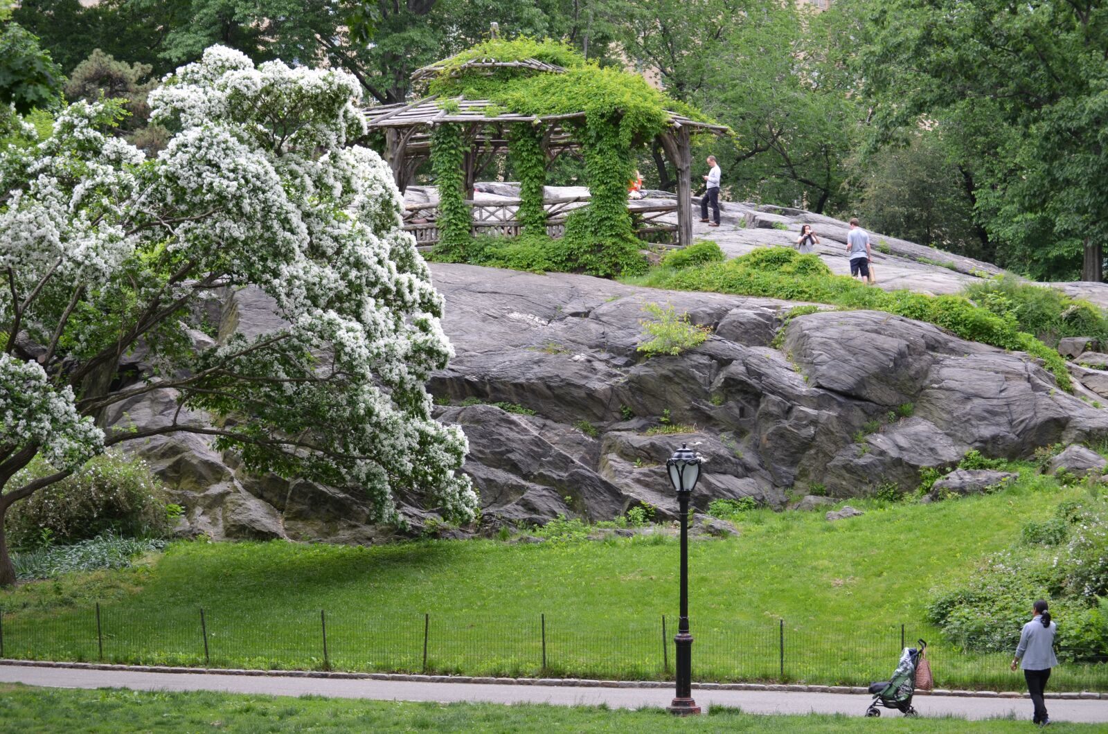 Nikon D5100 sample photo. Centralpark, nycmorning, midtownny photography
