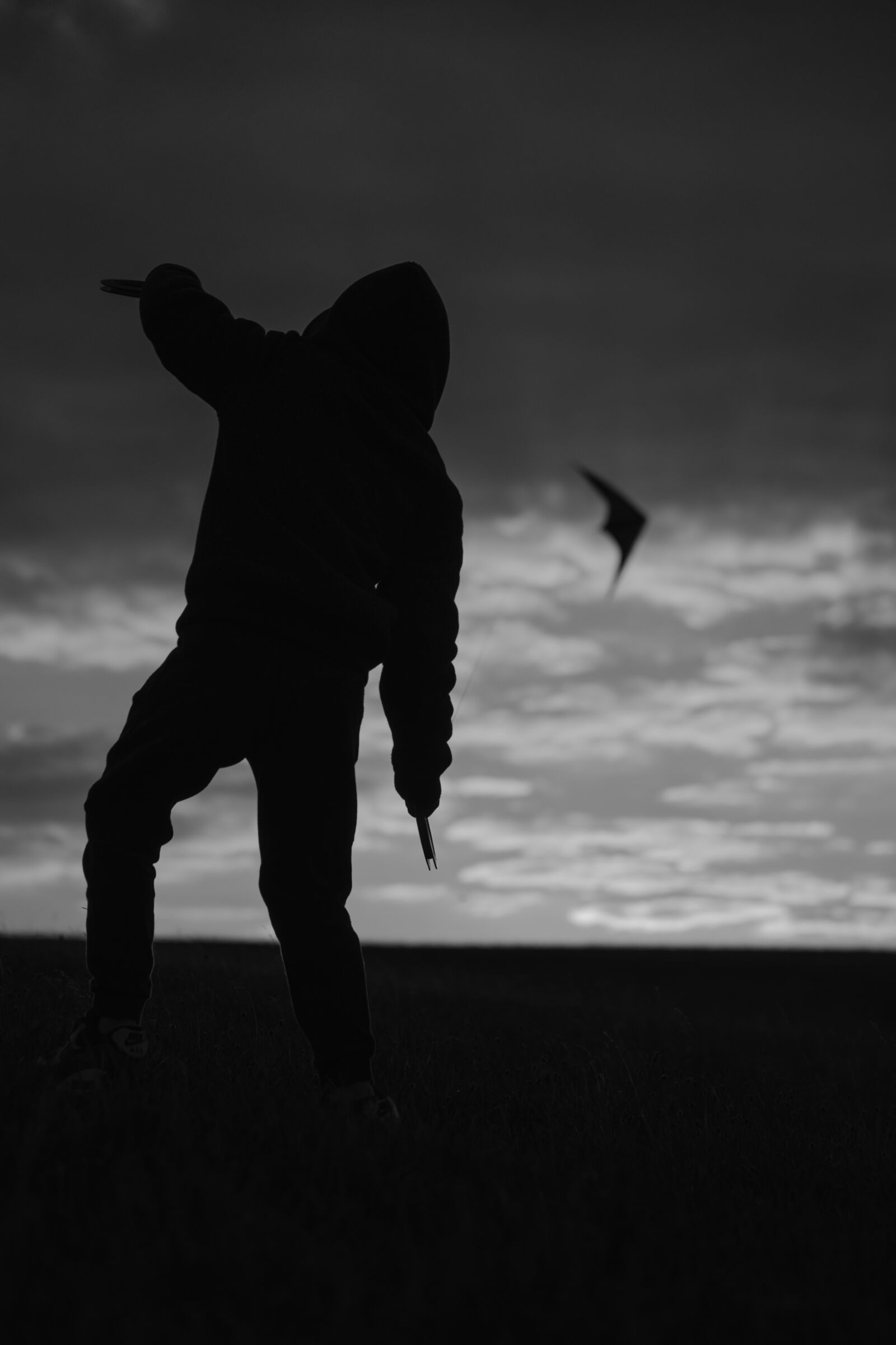Nikon D750 sample photo. Kite, sunset, evening sky photography