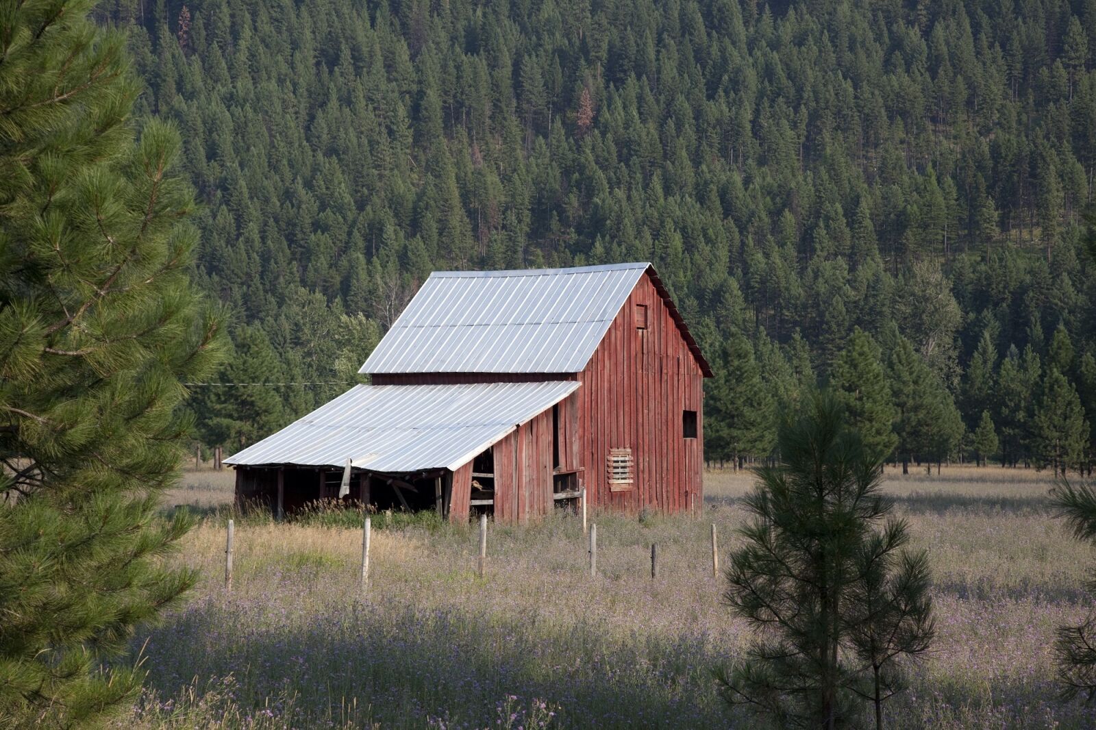 Canon EOS 5D Mark II sample photo. Barn, ranch, wood photography