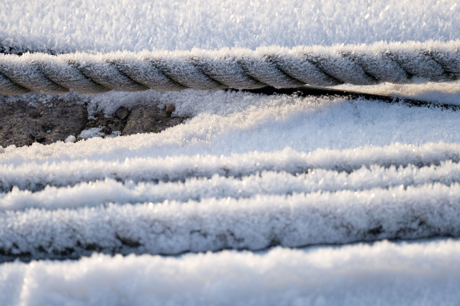 Olympus OM-D E-M1 Mark III sample photo. Frost rope photography