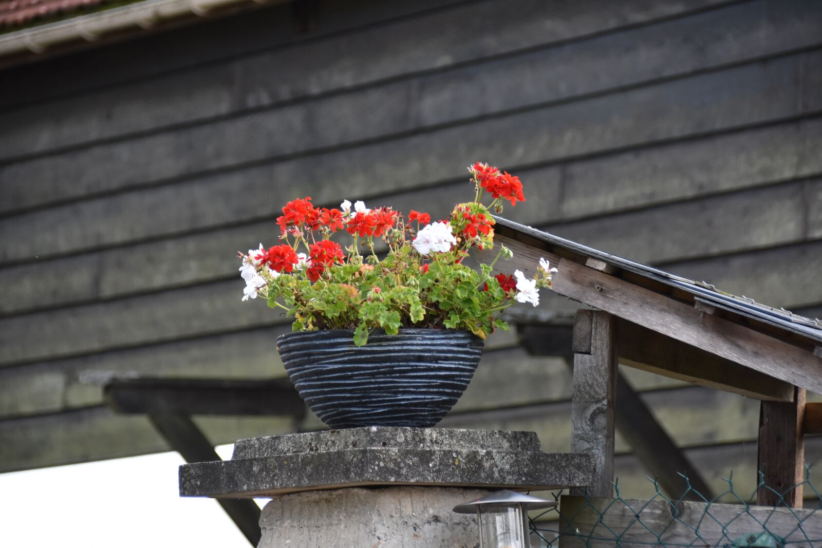 Nikon D7200 sample photo. Flowers, france, country photography
