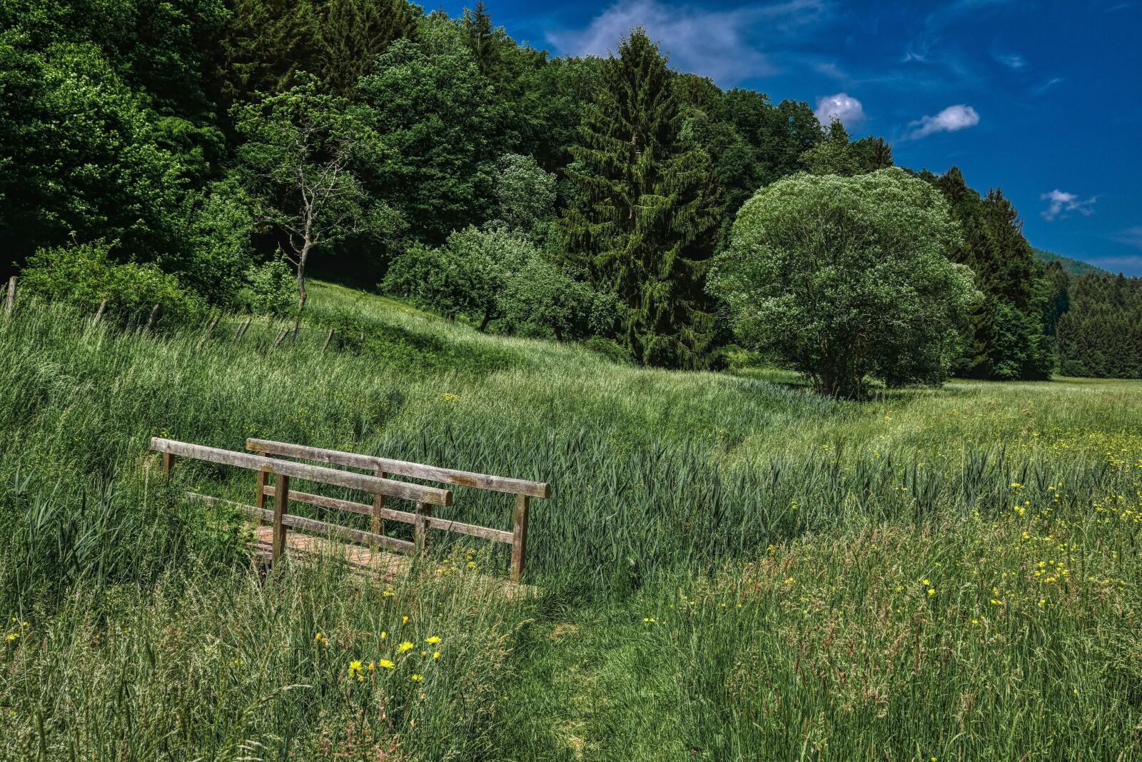 Nikon D5300 sample photo. Front weidenthal has, bridge photography