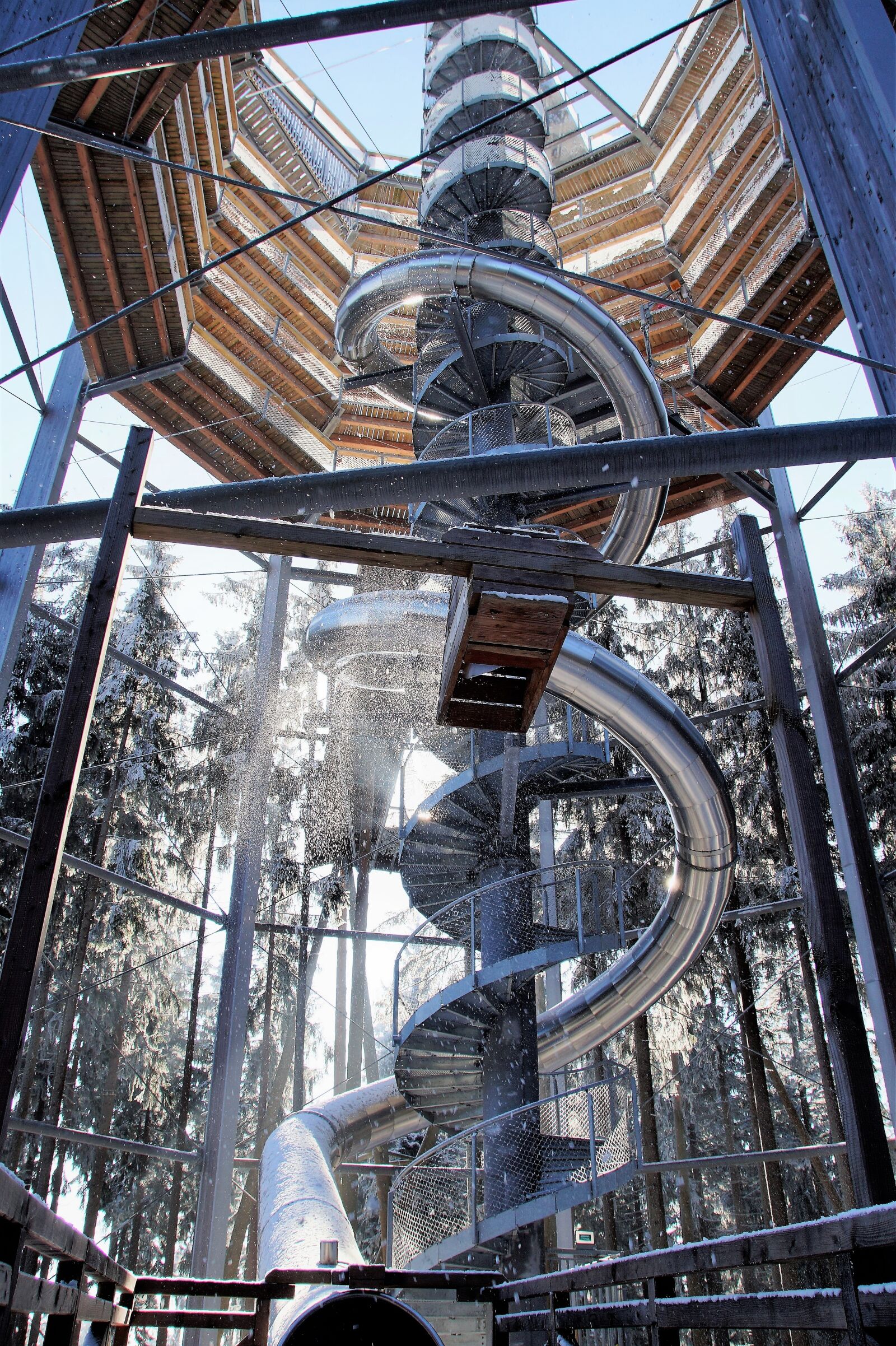 Sony SLT-A58 sample photo. Trail treetops, lipno, czech photography