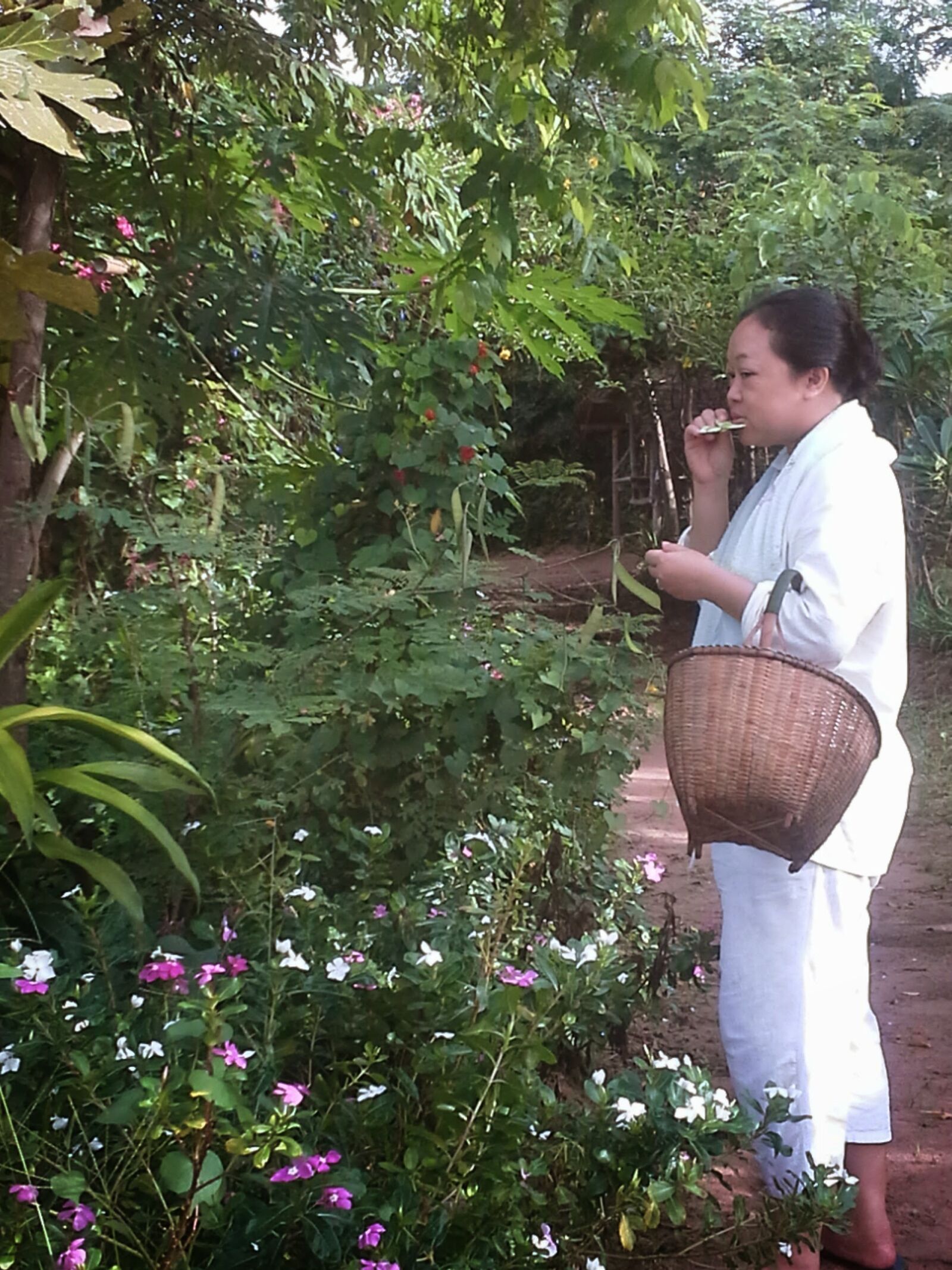Samsung Galaxy Note 10.1 sample photo