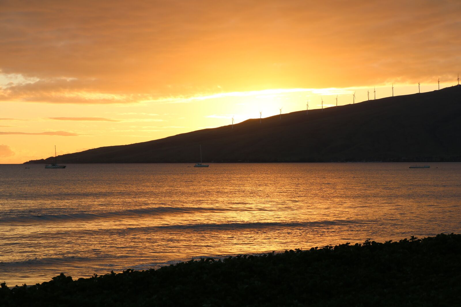 Canon EOS 750D (EOS Rebel T6i / EOS Kiss X8i) + Canon EF-S 18-55mm F3.5-5.6 IS STM sample photo. Maui, hawaii, vacation photography