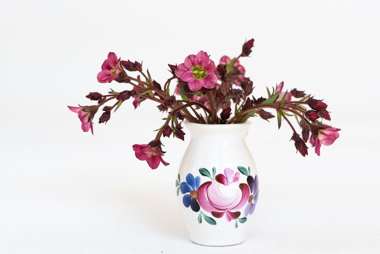 Nikon D750 sample photo. Flowers, pink, pink flowers photography