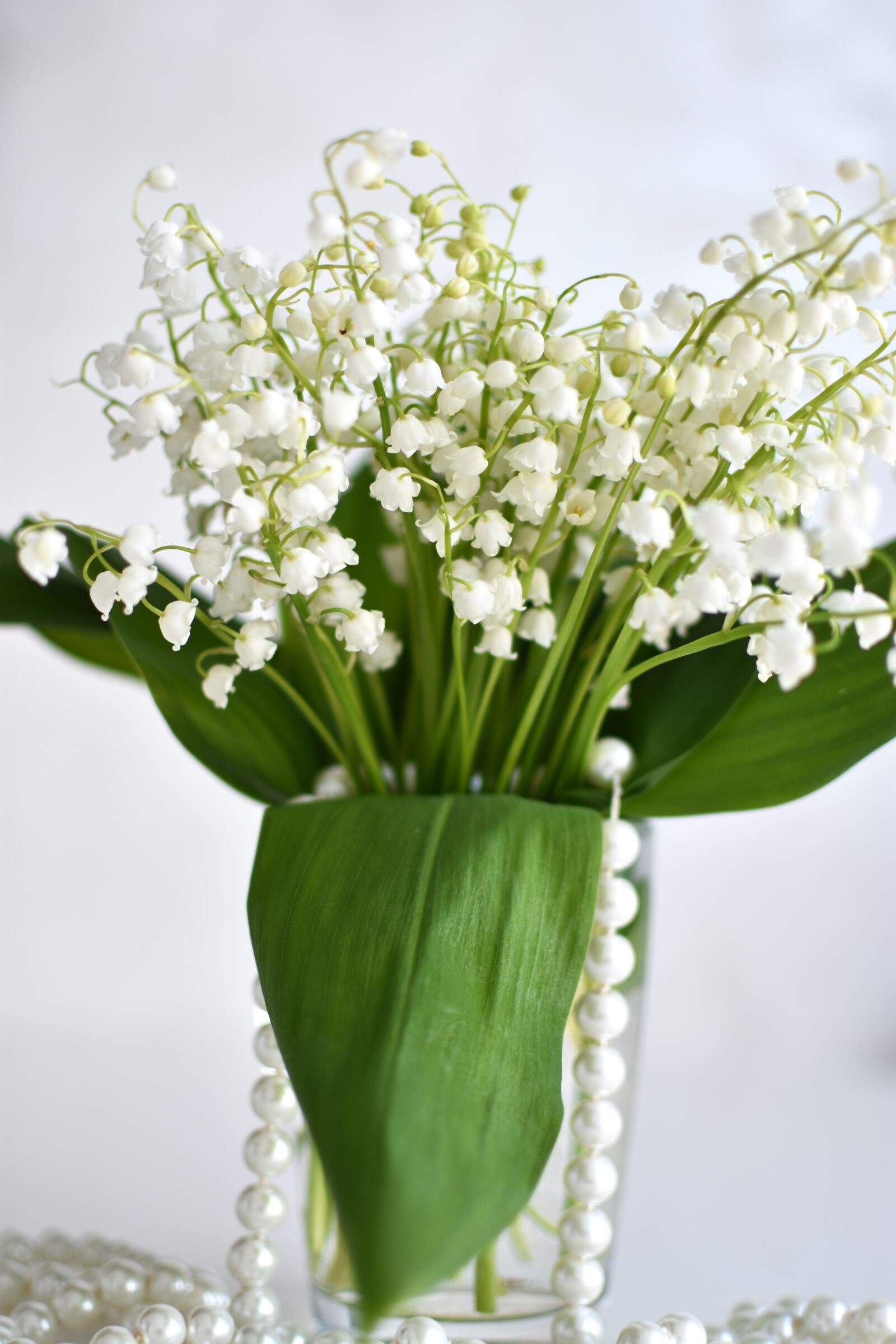 Nikon D3400 sample photo. Lilies of the valley photography