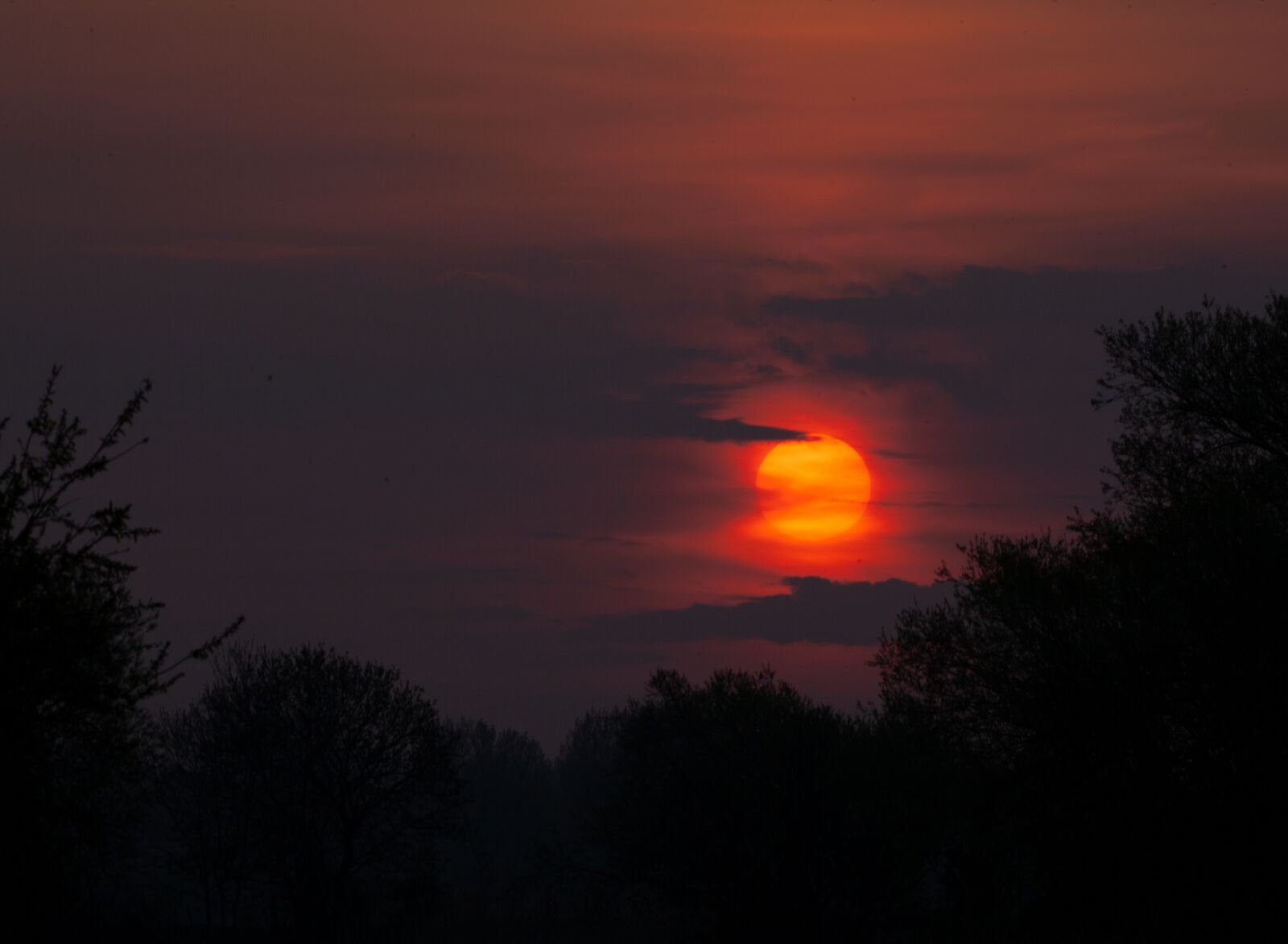 Canon EOS 5D Mark II sample photo. Sunrise, water, tree photography