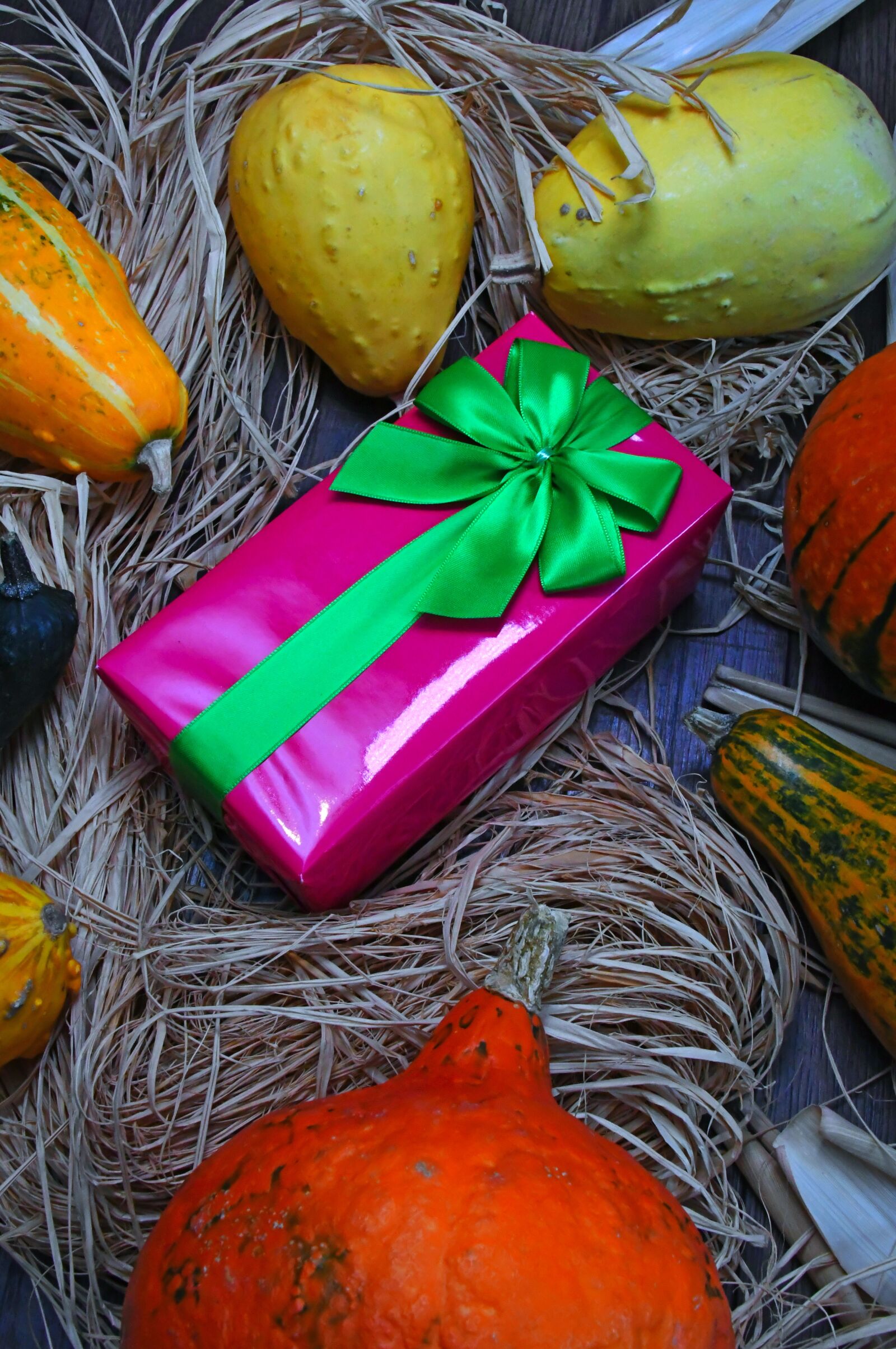 Nikon D3200 sample photo. Autumn, autumn mood, packaging photography