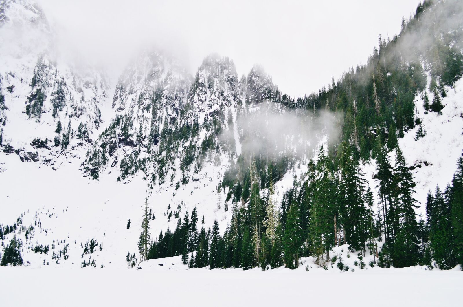 Nikon D5100 sample photo. Mountains, fog, forest photography