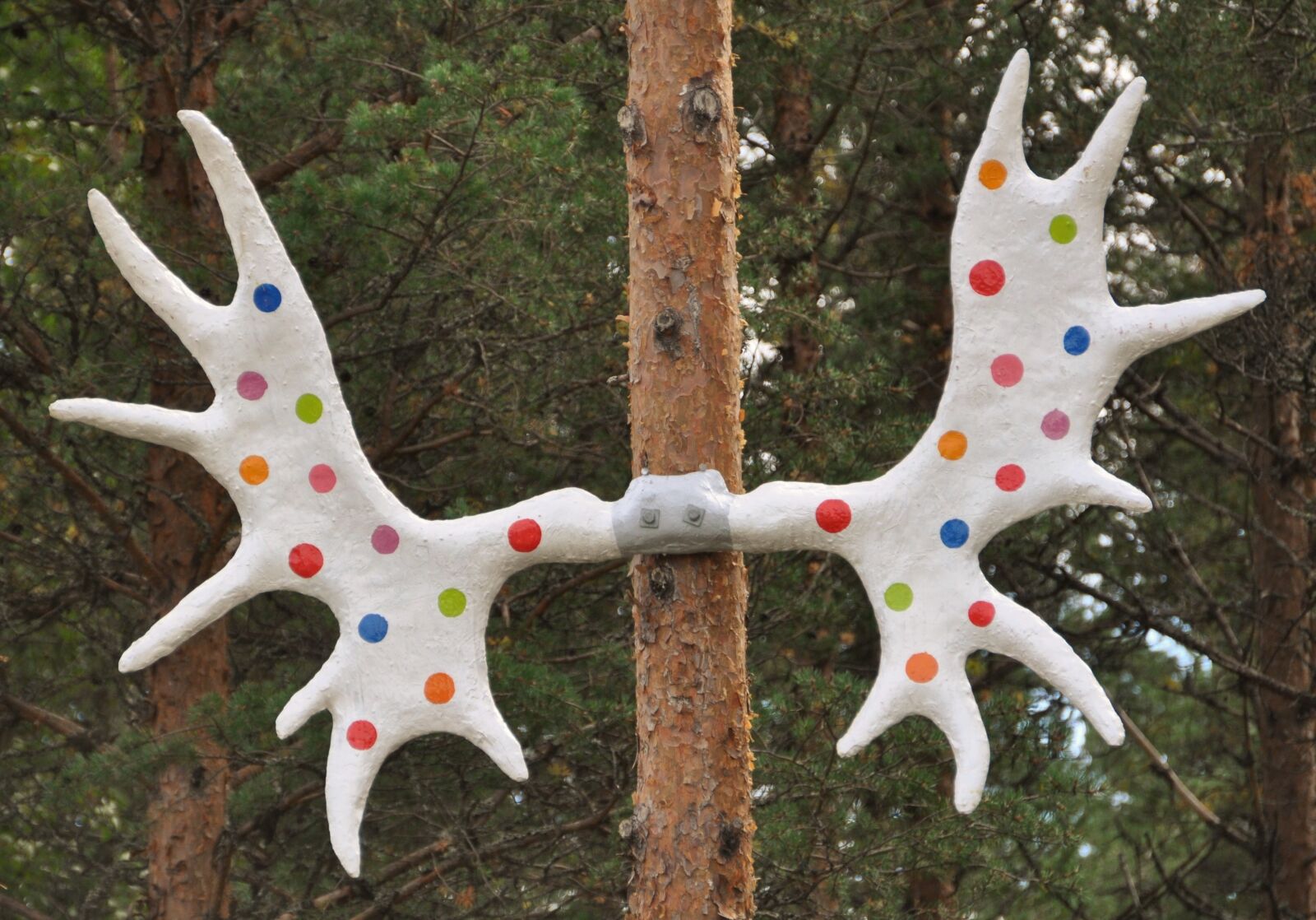 Nikon D5000 sample photo. Moose, antler, norway photography