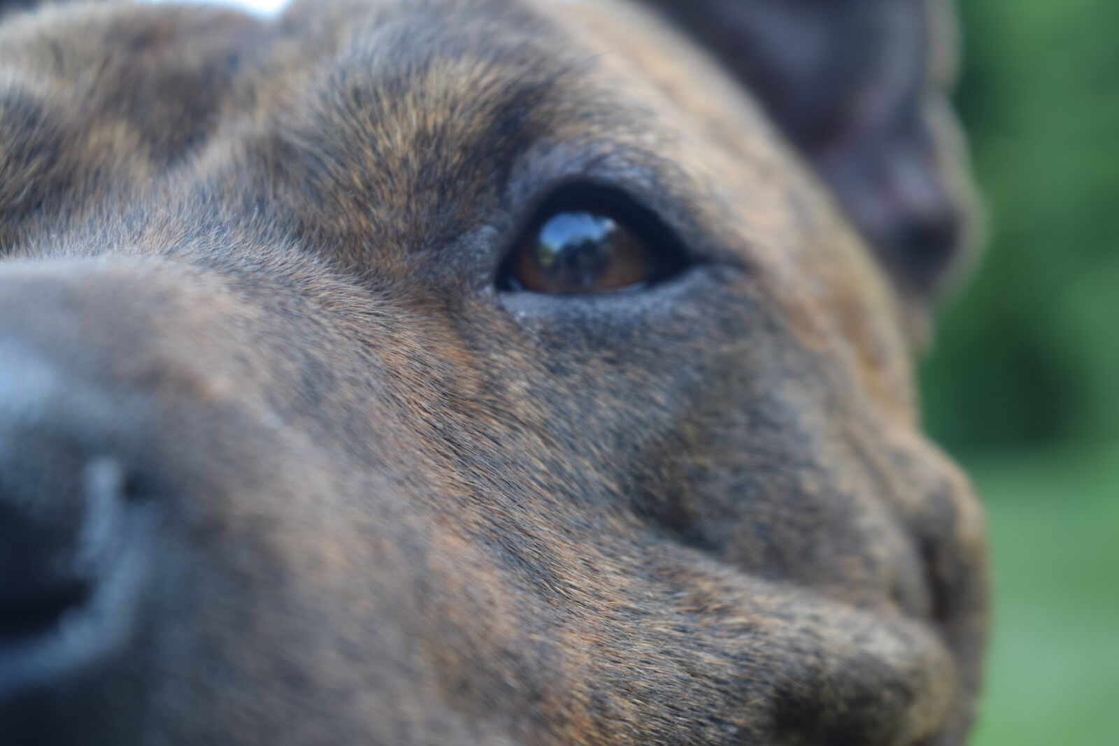 Nikon D3300 sample photo