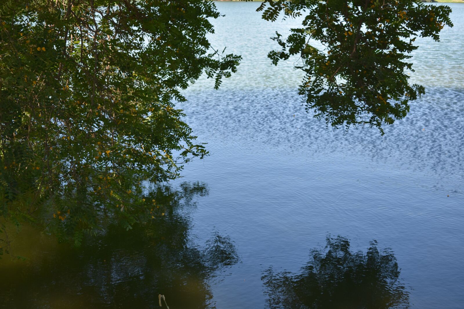 Nikon D3400 sample photo. Lake, water, tree photography