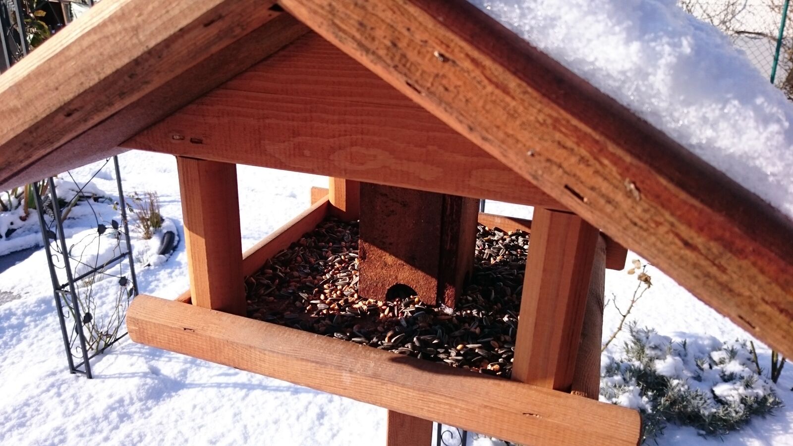 Sony Xperia Z3 sample photo. Feed, seeds, feeding photography