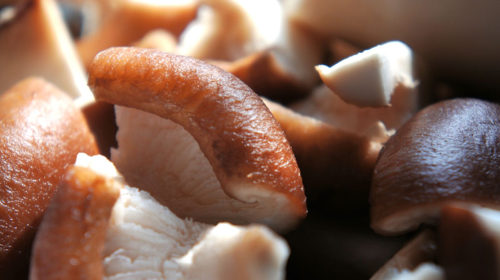 Sony NEX-5C + Sony E 18-55mm F3.5-5.6 OSS sample photo. Mushrooms, vegetables, hot pot photography