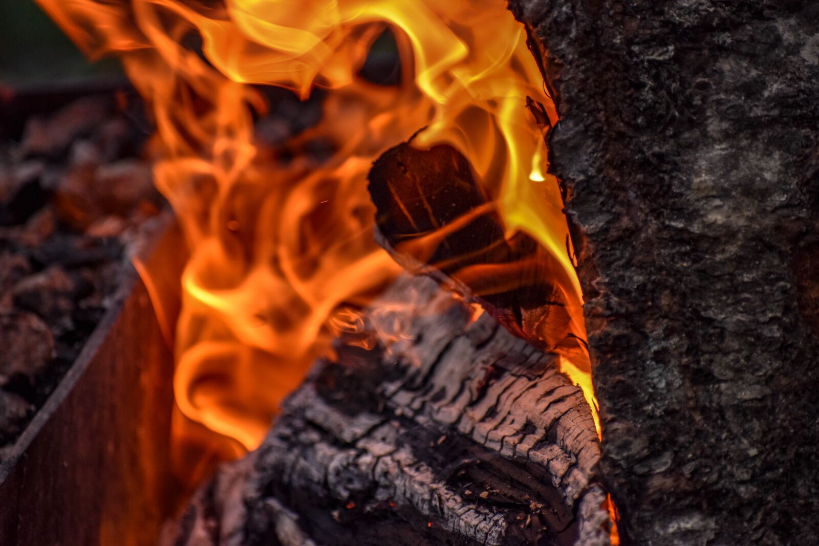 Nikon D3500 sample photo. Wood, fire, heat photography