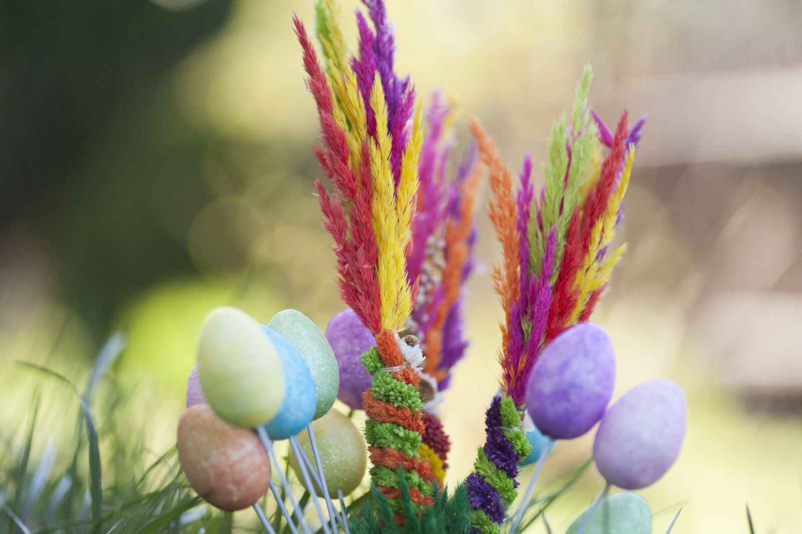 Nikon D700 sample photo. Palm, sunday, easter photography