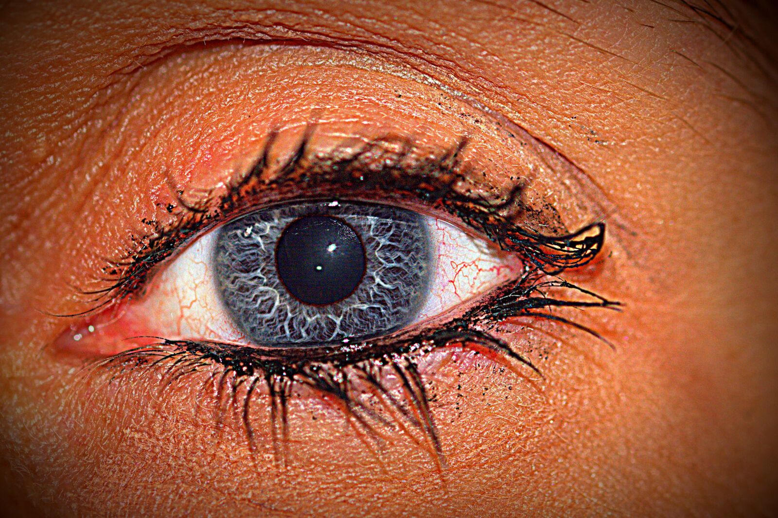 Nikon D5200 sample photo. Eye, blue, eyelashes photography