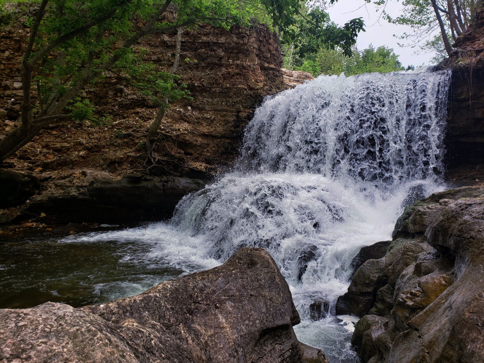 Samsung Galaxy Note9 sample photo. Stream, river, forest photography