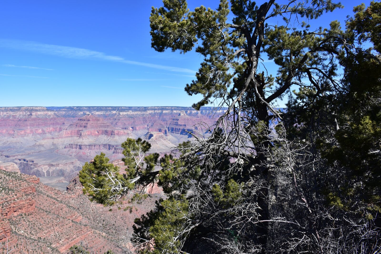Nikon D7200 sample photo. Mountain, grand canyon, usa photography