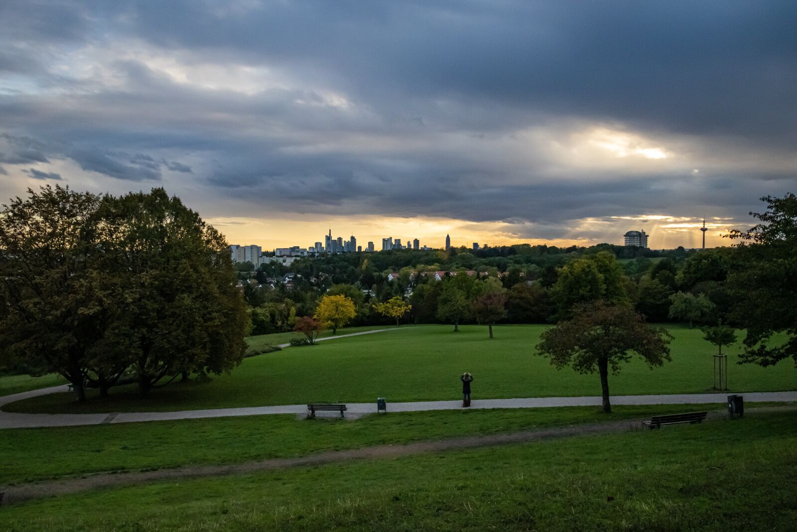 Canon EOS 77D (EOS 9000D / EOS 770D) sample photo. Tree, grass, park photography