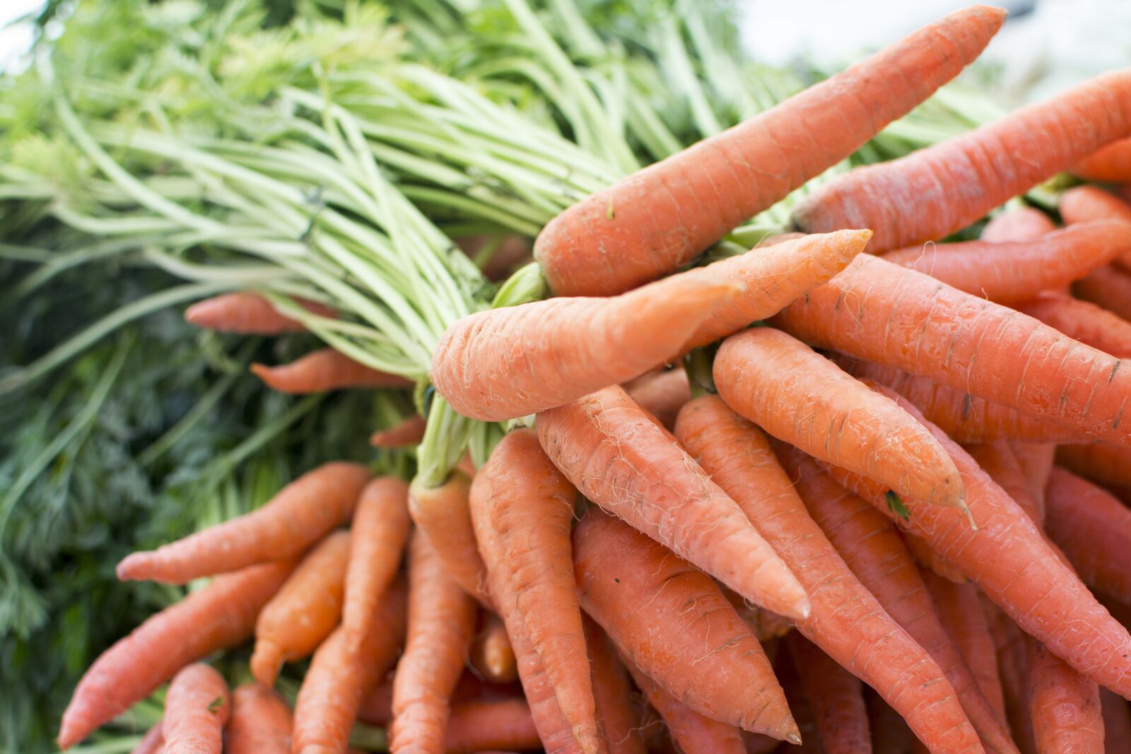 Nikon D3100 sample photo. Carrot, produce, grocery photography