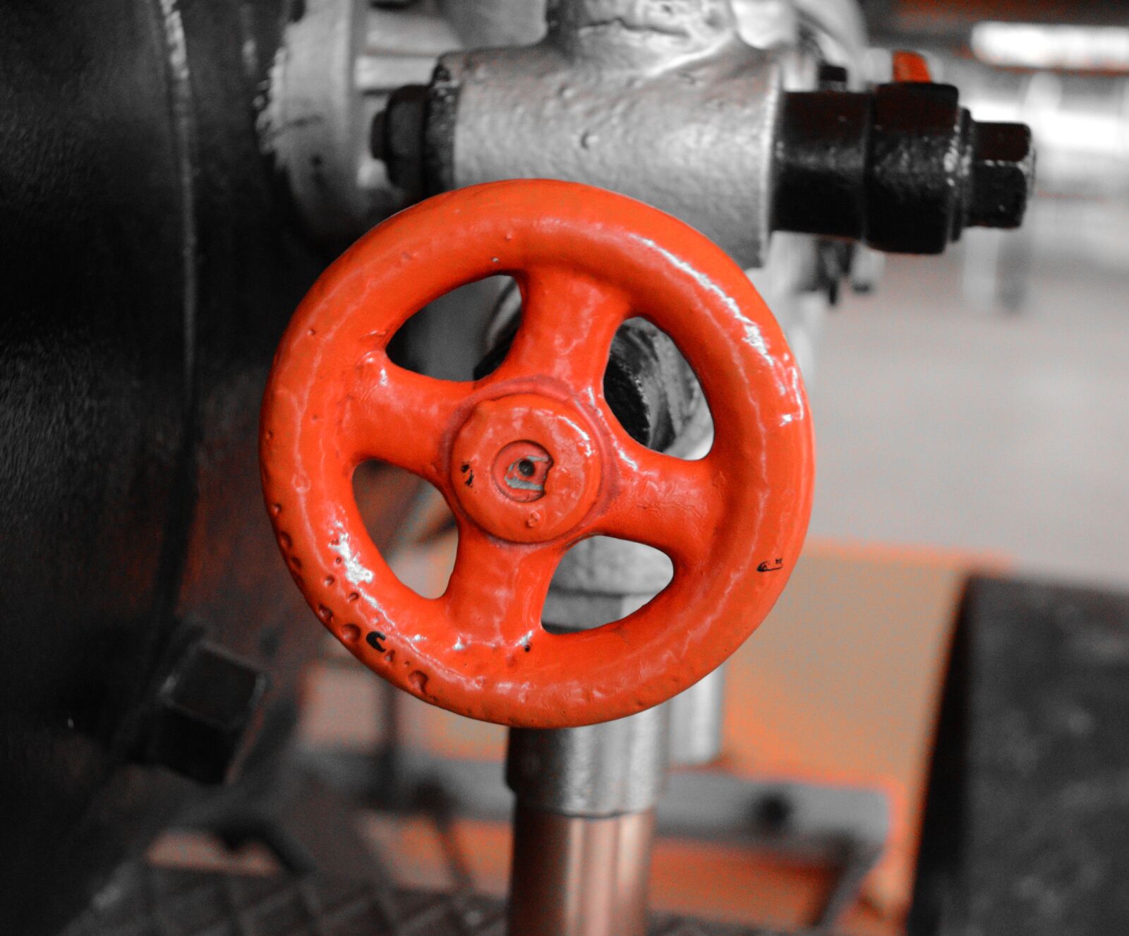 Nikon D5100 sample photo. Brazil, red, valve photography