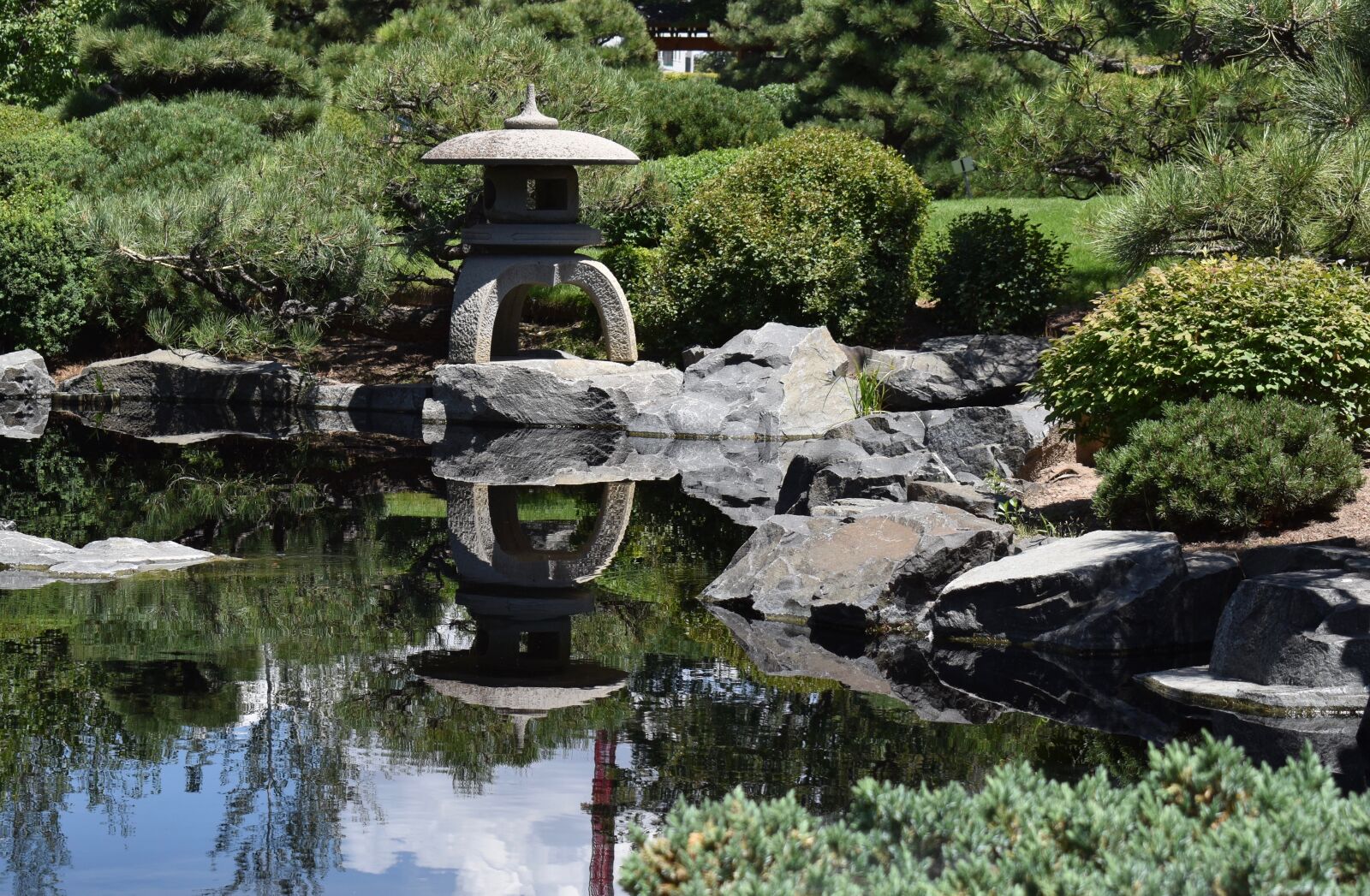 Nikon D3500 sample photo. Japanese garden, water garden photography