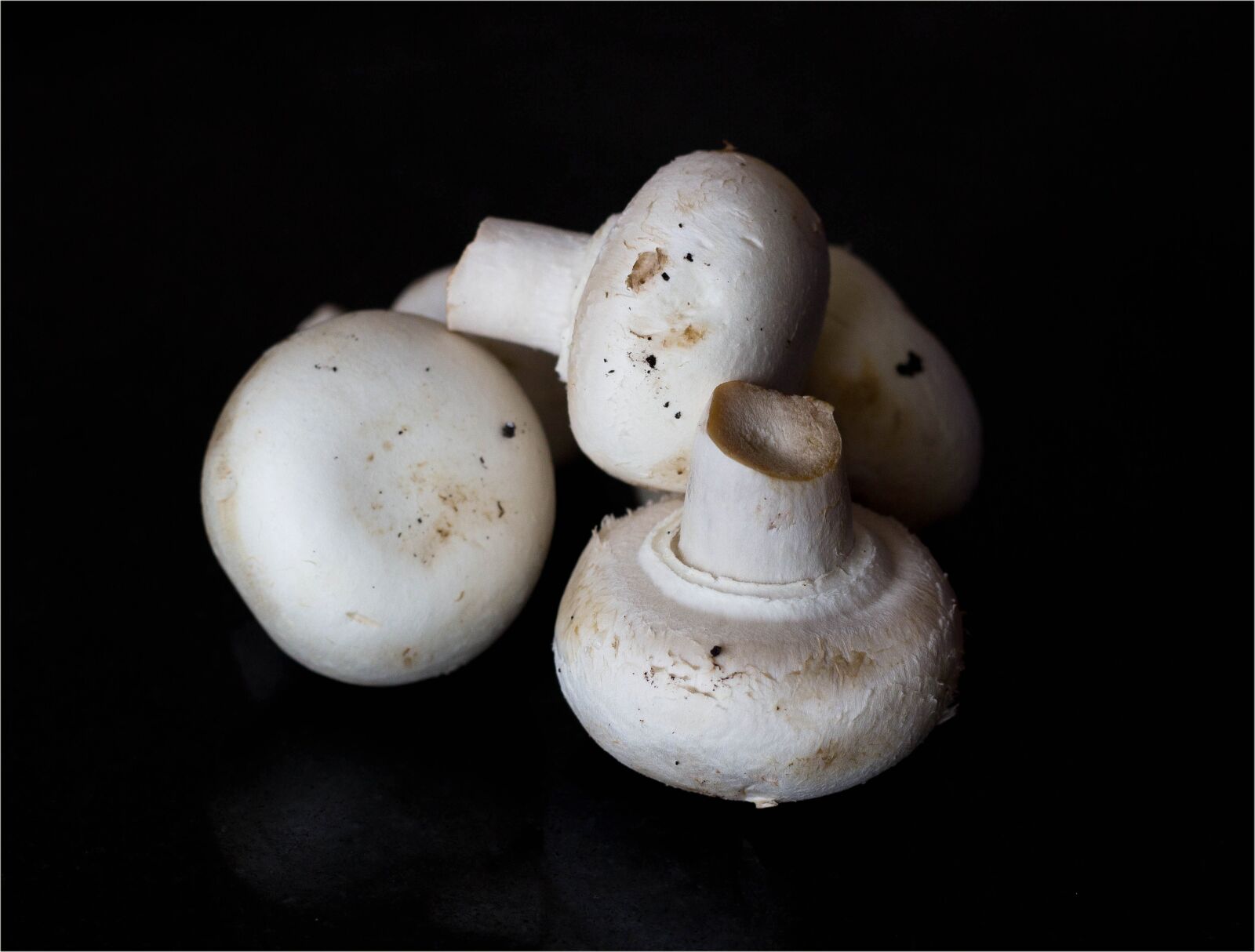 Canon EOS 600D (Rebel EOS T3i / EOS Kiss X5) + Canon EF 50mm F1.8 II sample photo. Food, mushrooms, white mushrooms photography