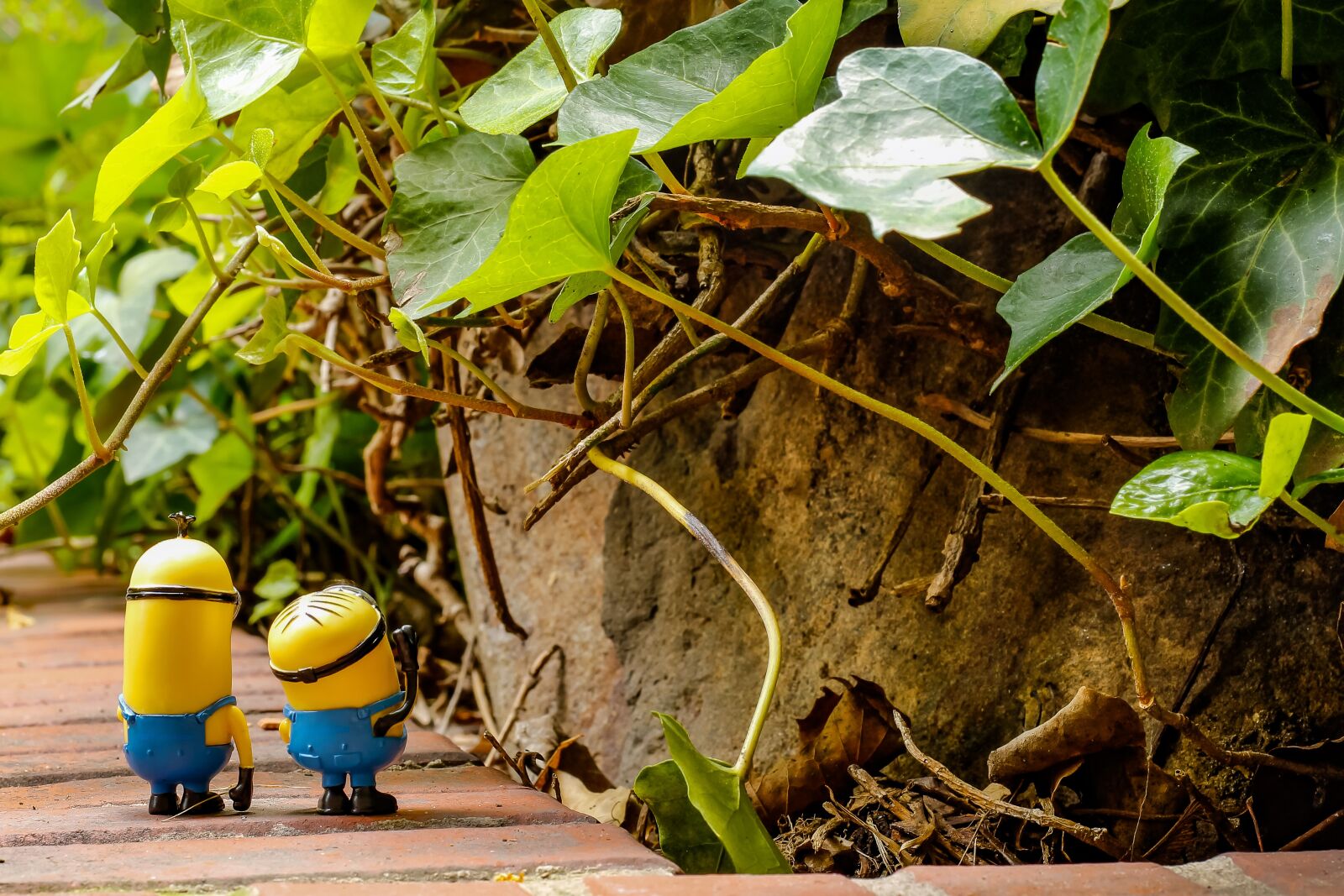 Canon EOS 1200D (EOS Rebel T5 / EOS Kiss X70 / EOS Hi) + Canon EF 50mm F1.8 STM sample photo. Cinema, minions, film photography