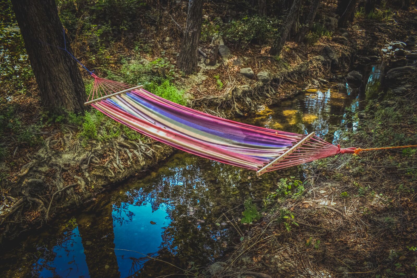 Nikon D3300 sample photo. Hammock, stream, woods photography