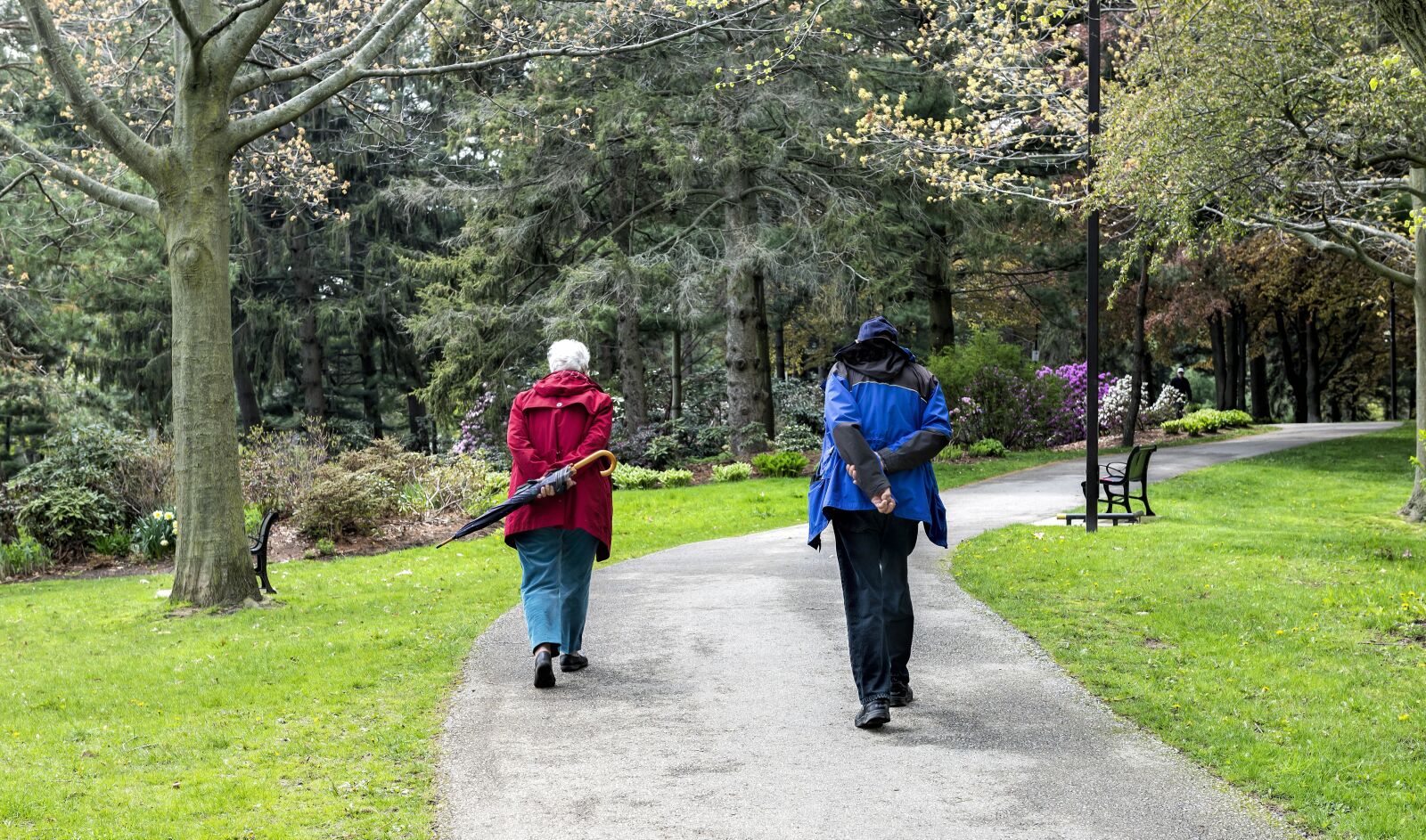 Nikon D610 sample photo. Woman, man, senior photography