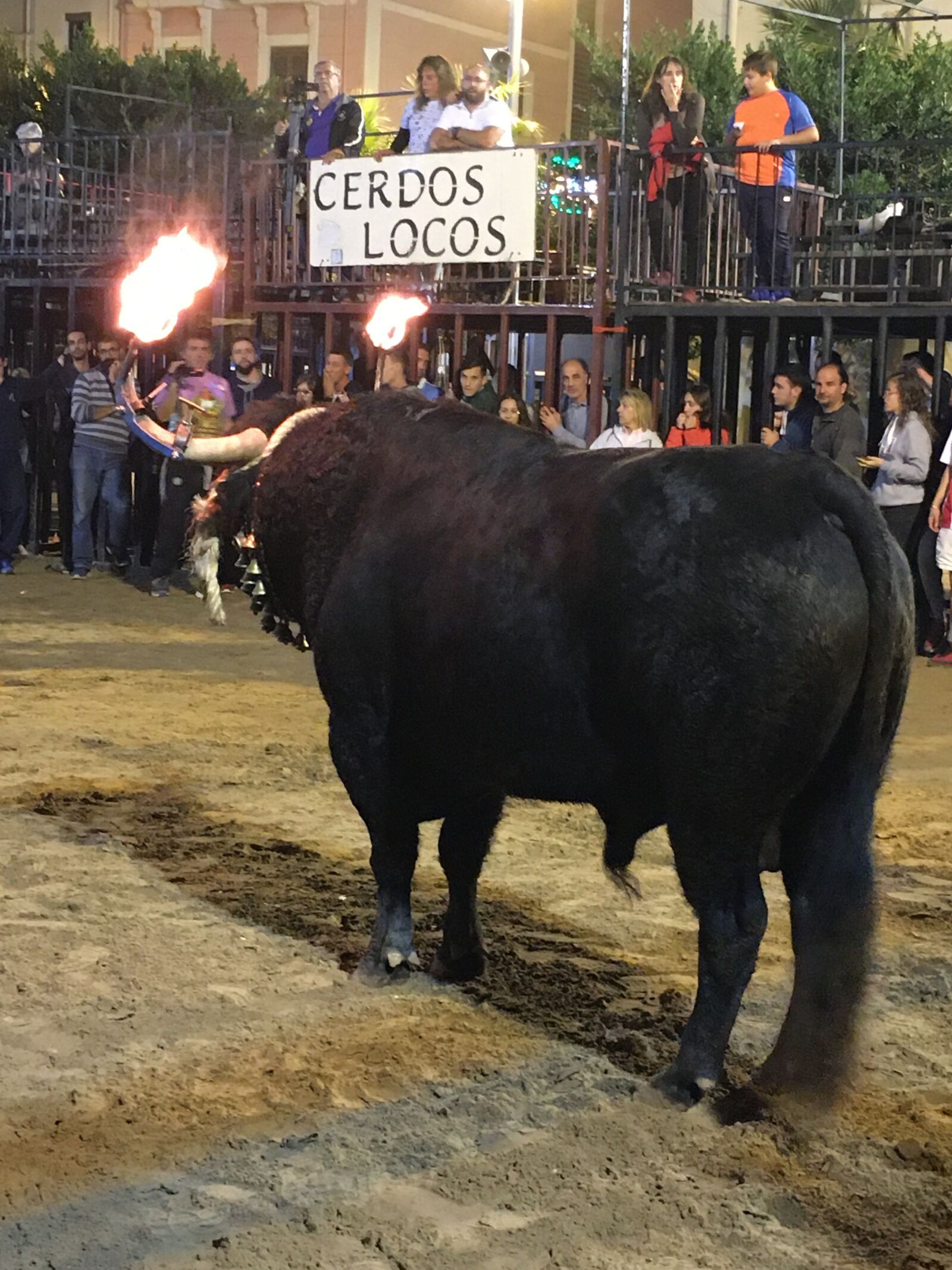 Apple iPhone 6s sample photo. Toro, black, embolado photography