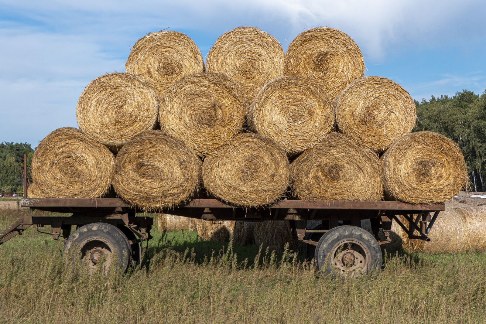 Panasonic Lumix DMC-FZ2500 (Lumix DMC-FZ2000) sample photo. Hay, roll, bale of photography