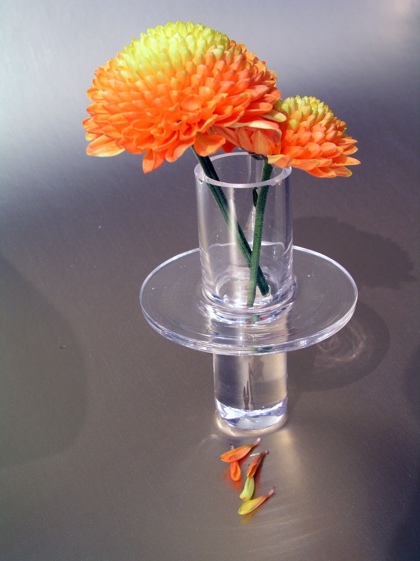 Olympus C5050Z sample photo. Crystal, still life, flower photography