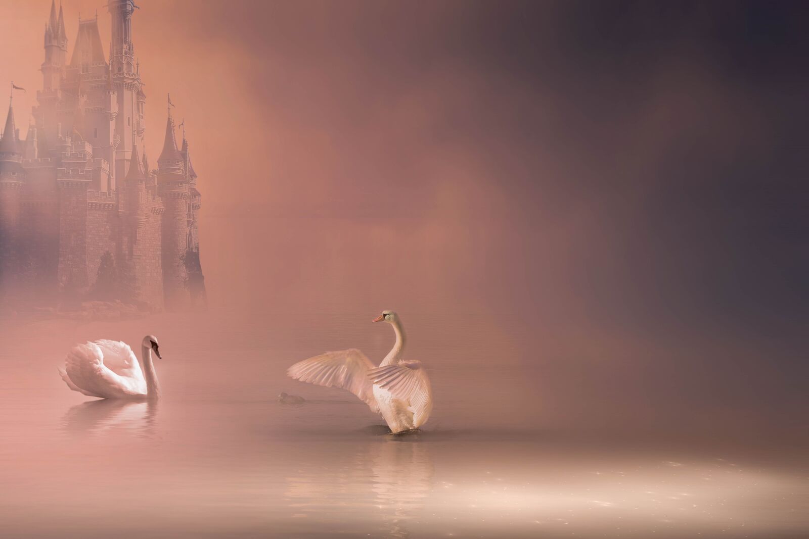 Nikon D5300 sample photo. Fantasy, swans, romance photography