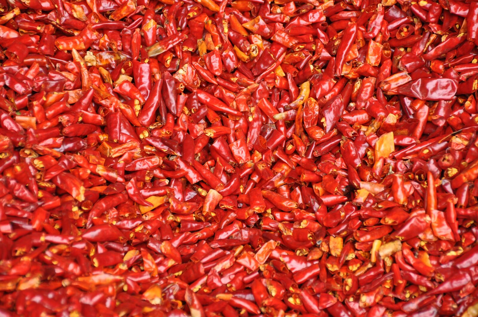 Nikon D90 sample photo. Chili, spices, pepper photography