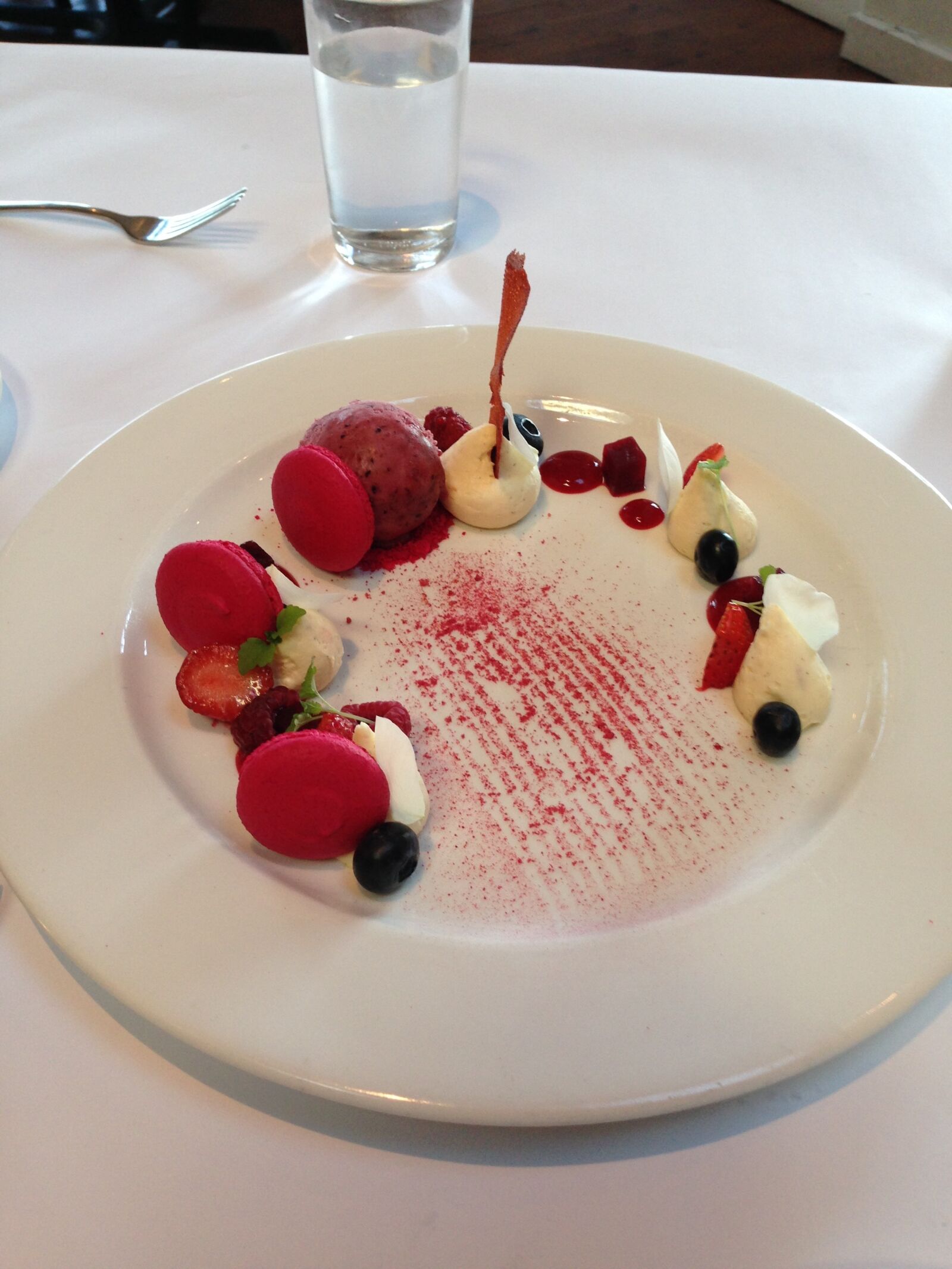 iPhone 5 back camera 4.12mm f/2.4 sample photo. Dessert, macaroon, raspberry photography