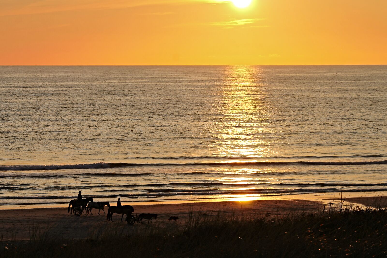 Canon EOS 1100D (EOS Rebel T3 / EOS Kiss X50) sample photo. Beach, sunset, horses photography