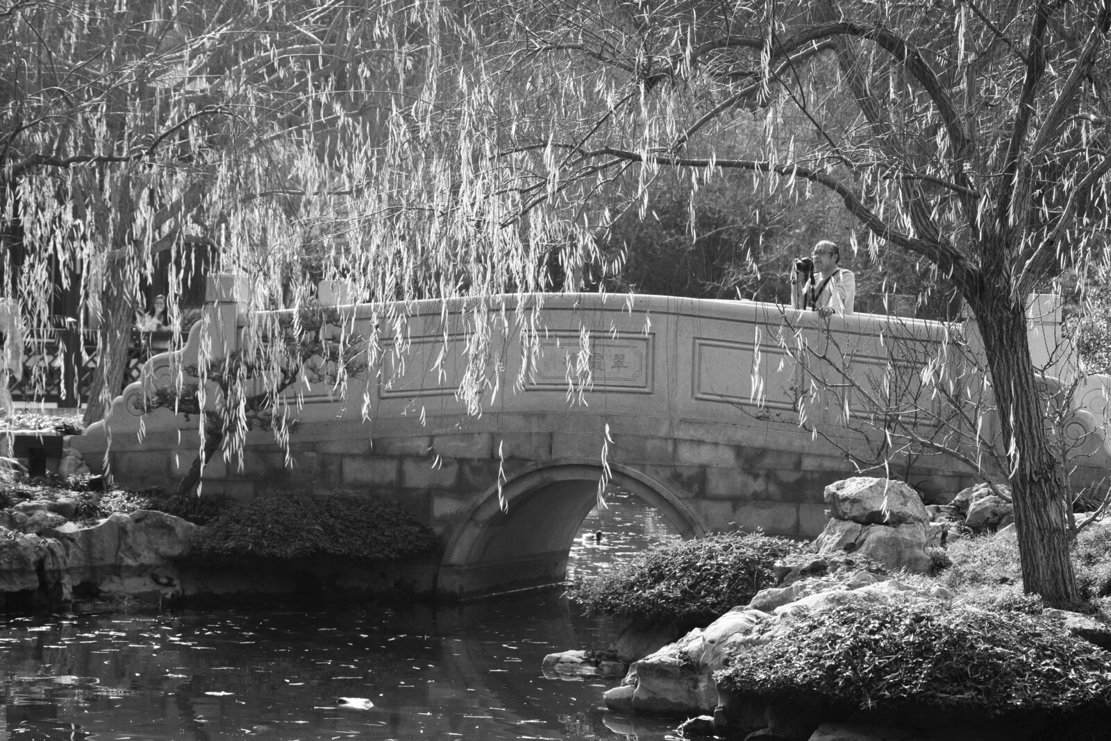 Canon EOS 1000D (EOS Digital Rebel XS / EOS Kiss F) sample photo. Peaceful, bridge, japan photography