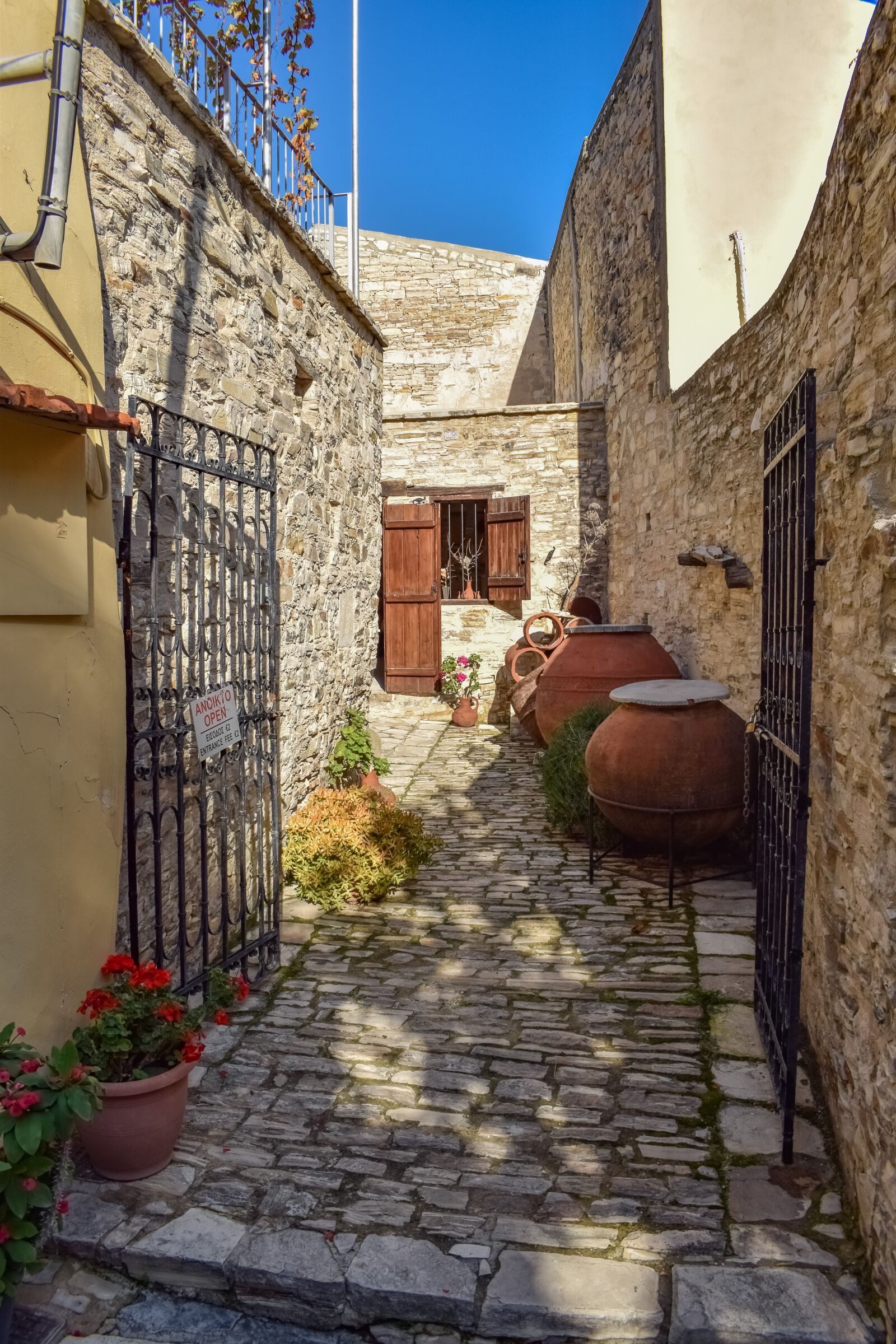 Nikon D3300 sample photo. Cyprus, kato drys, bee photography