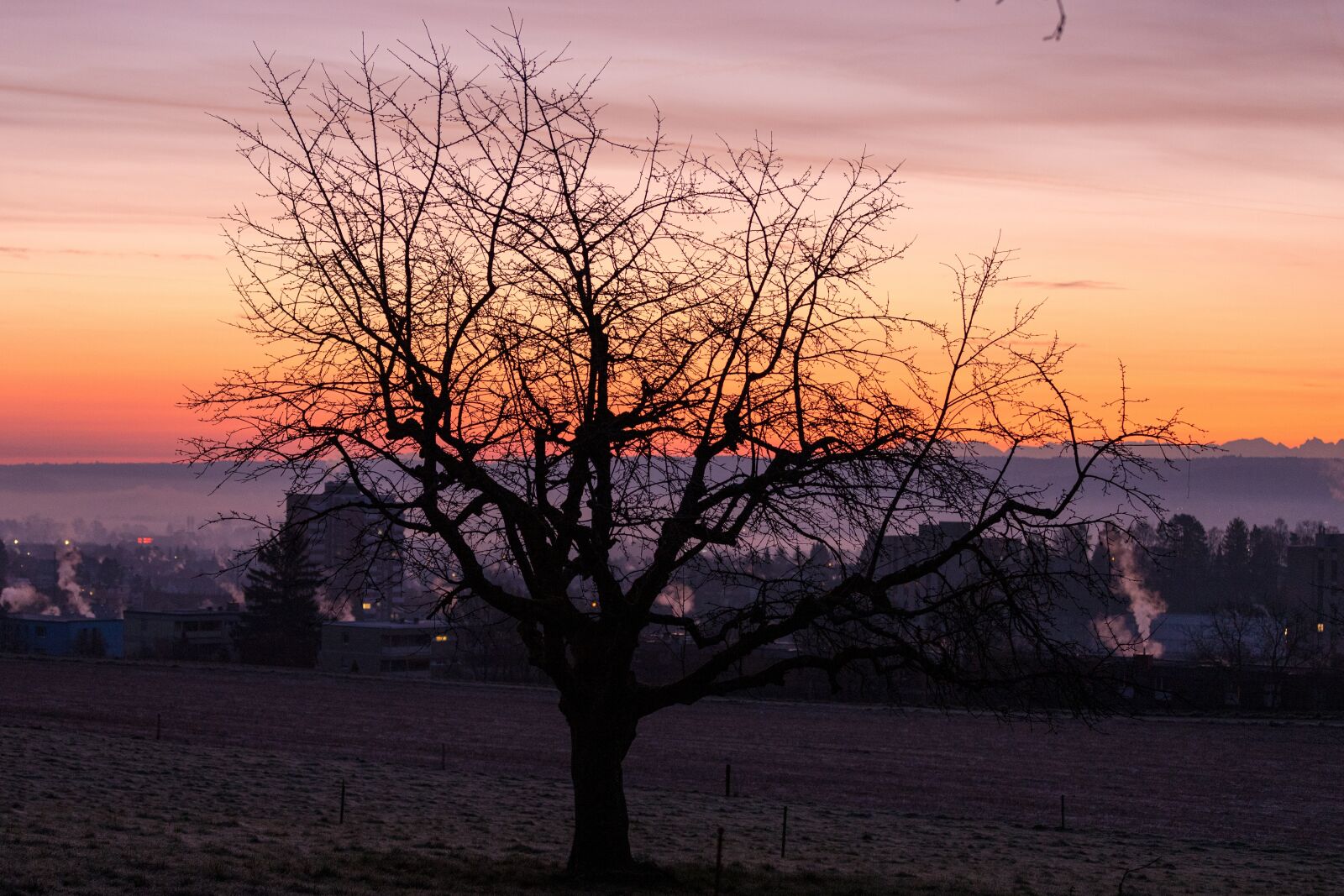 Canon EOS 6D Mark II sample photo. Daybreak, dawn, tree photography