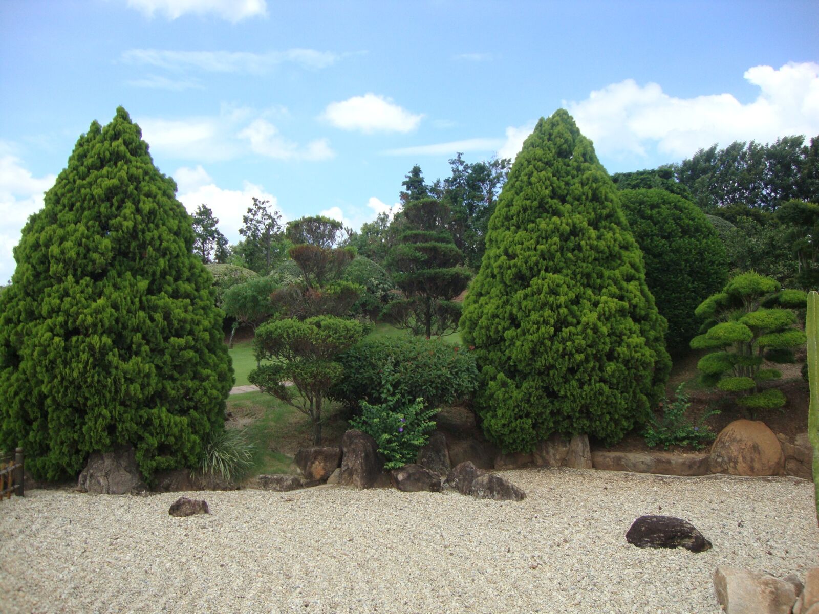 Sony DSC-W210 sample photo. Landscape, tree, nature photography