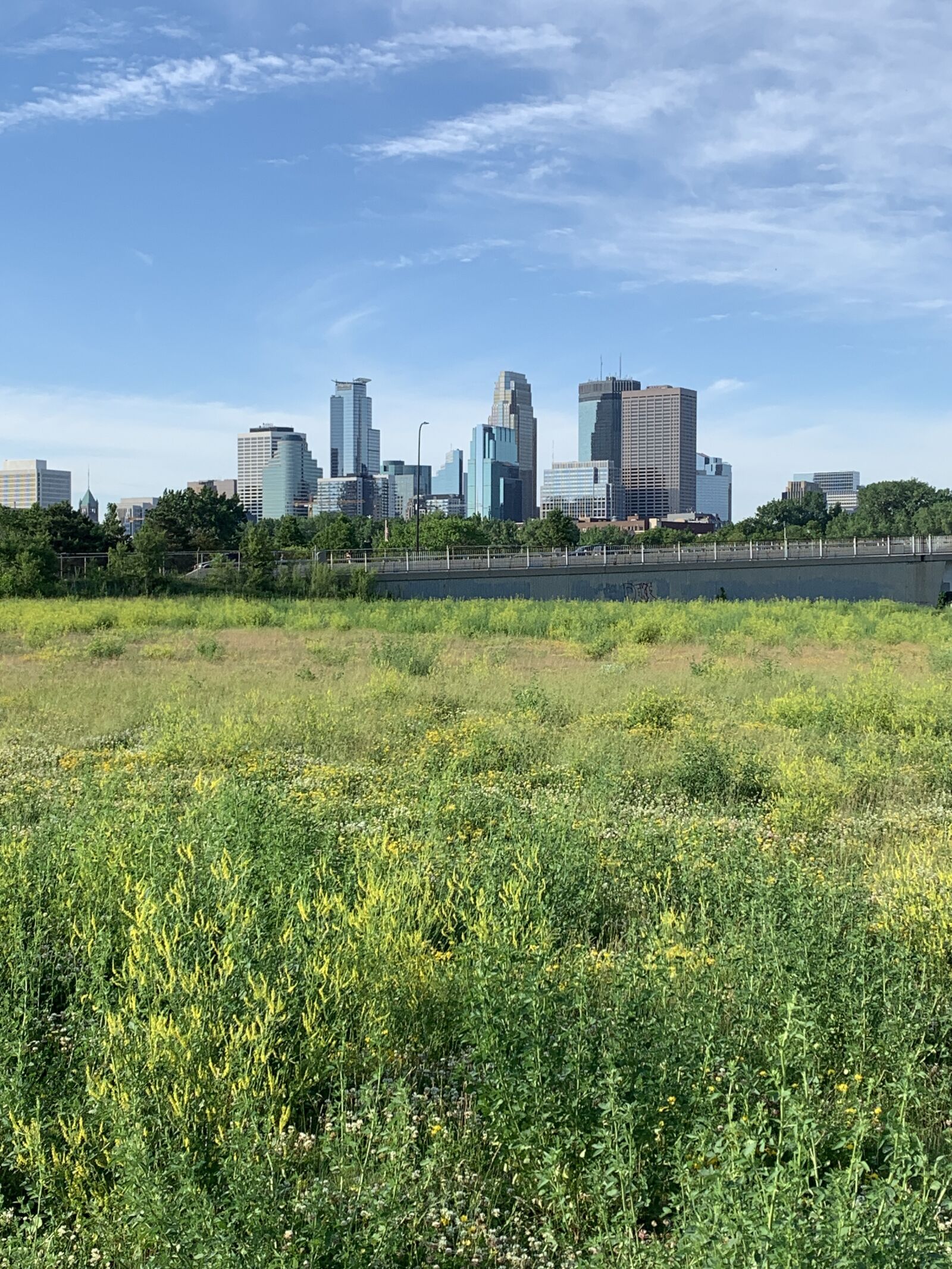 Apple iPhone XR sample photo. Skyline, minneapolis, minnesota photography